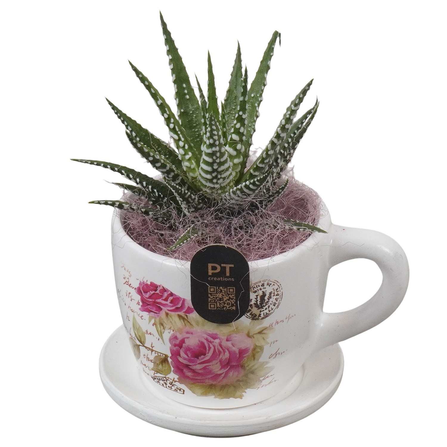 PTIB5197 Arrangement Indoor in keramiek kop en schotel, D 8