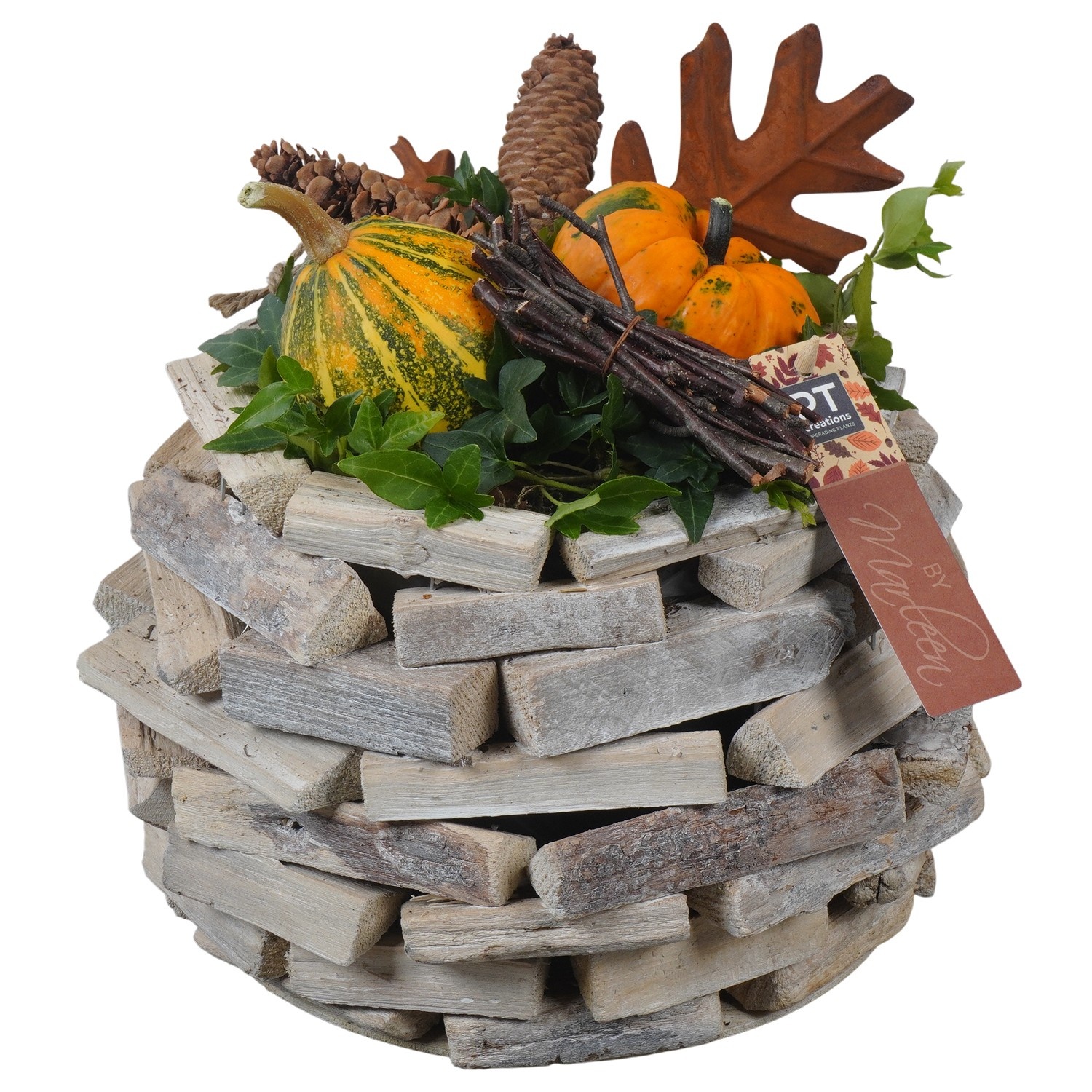 PTSF8237 Arrangement Kalebas hedera in houten pot, D 18 cm