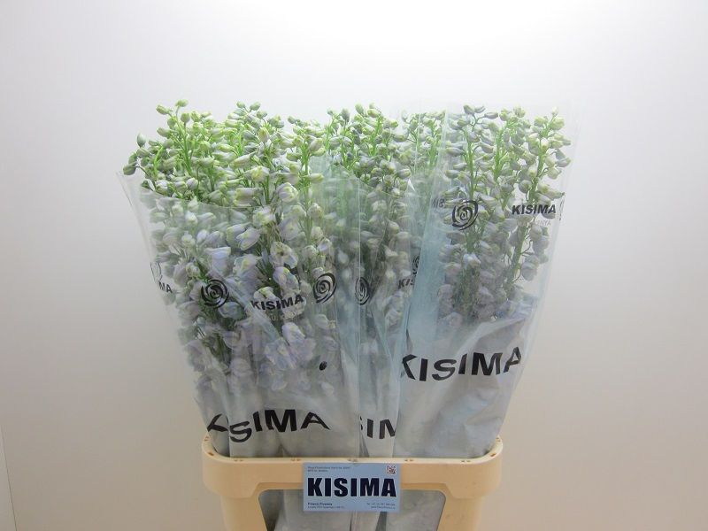 Дельфиниум дв. Гардиан Лавандер 100, шт.