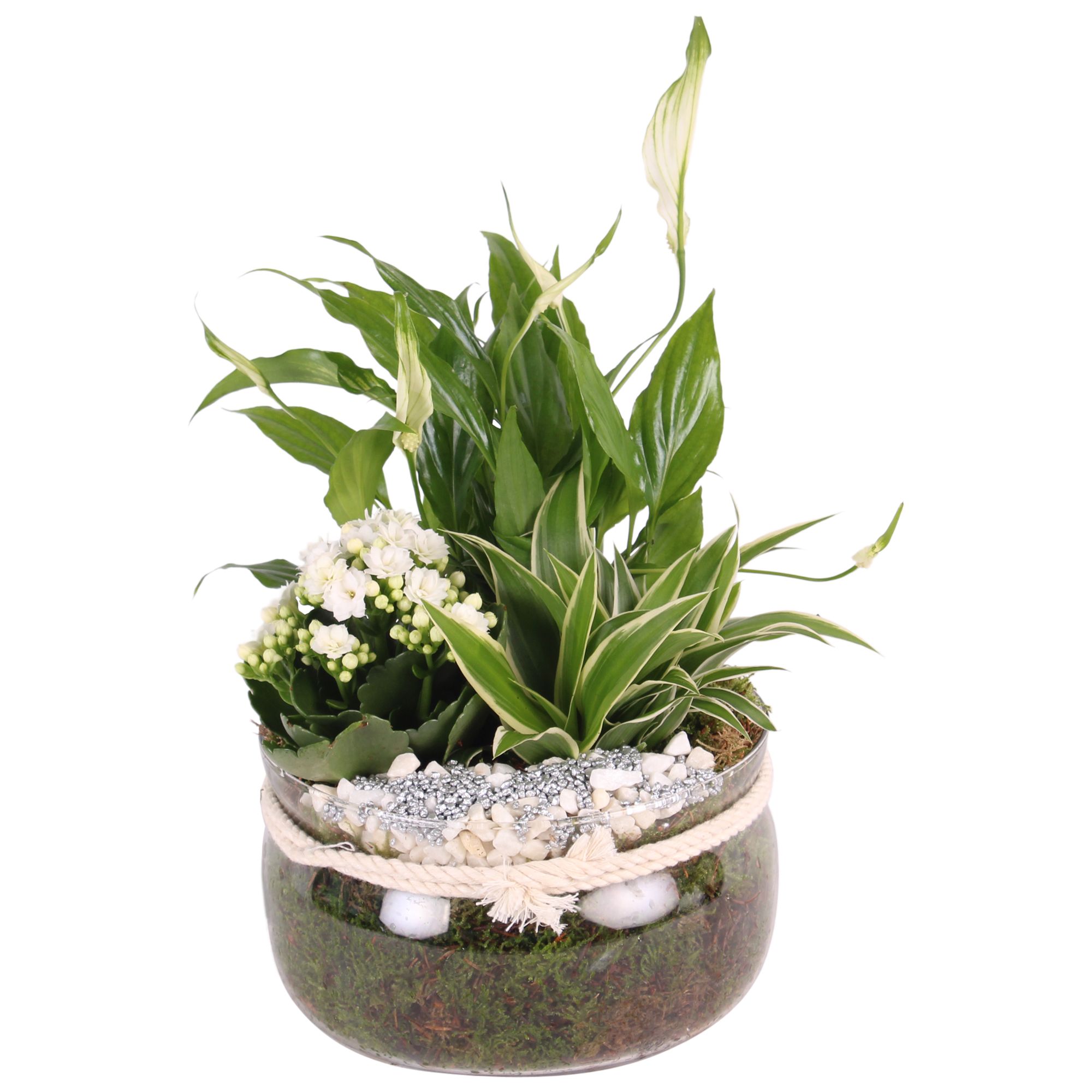 Yearround Arr. Indoor Glass Bowl with Rope Ø20cm 3PP, D 20