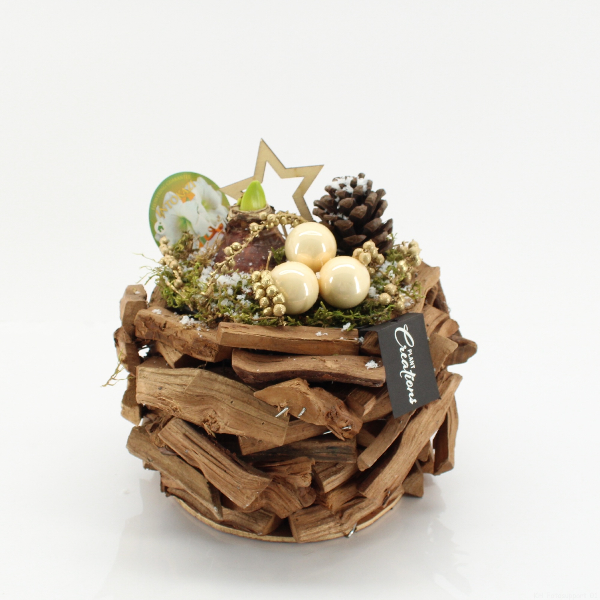 HICR-2523W Kerst Amaryllis, D 25 cm