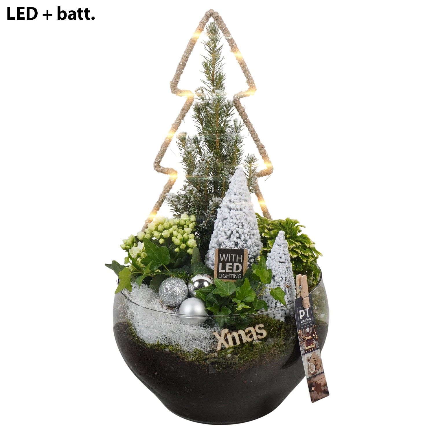 PTCHW4409 Arrangement Christmas White in glas schaal, D 23 cm