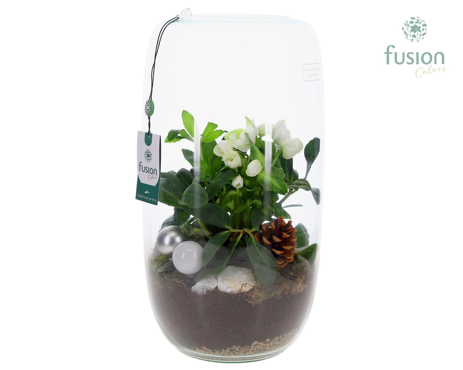 Green BottleIsabella XXLarge met Helleborus, D 23 cm Green BottleIsabella XXLarge met Helleborus, D 23 cm