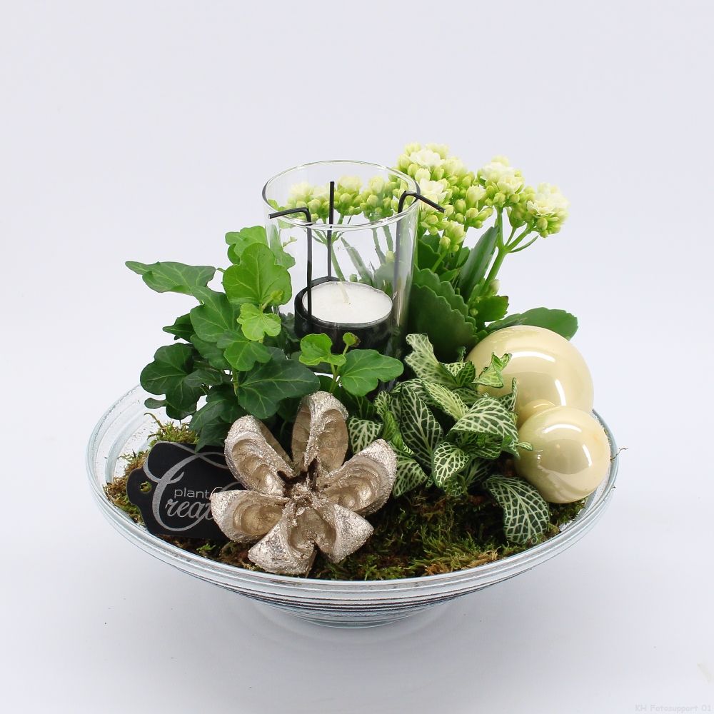 ADV-2514WG Advent creatie, D 25 cm