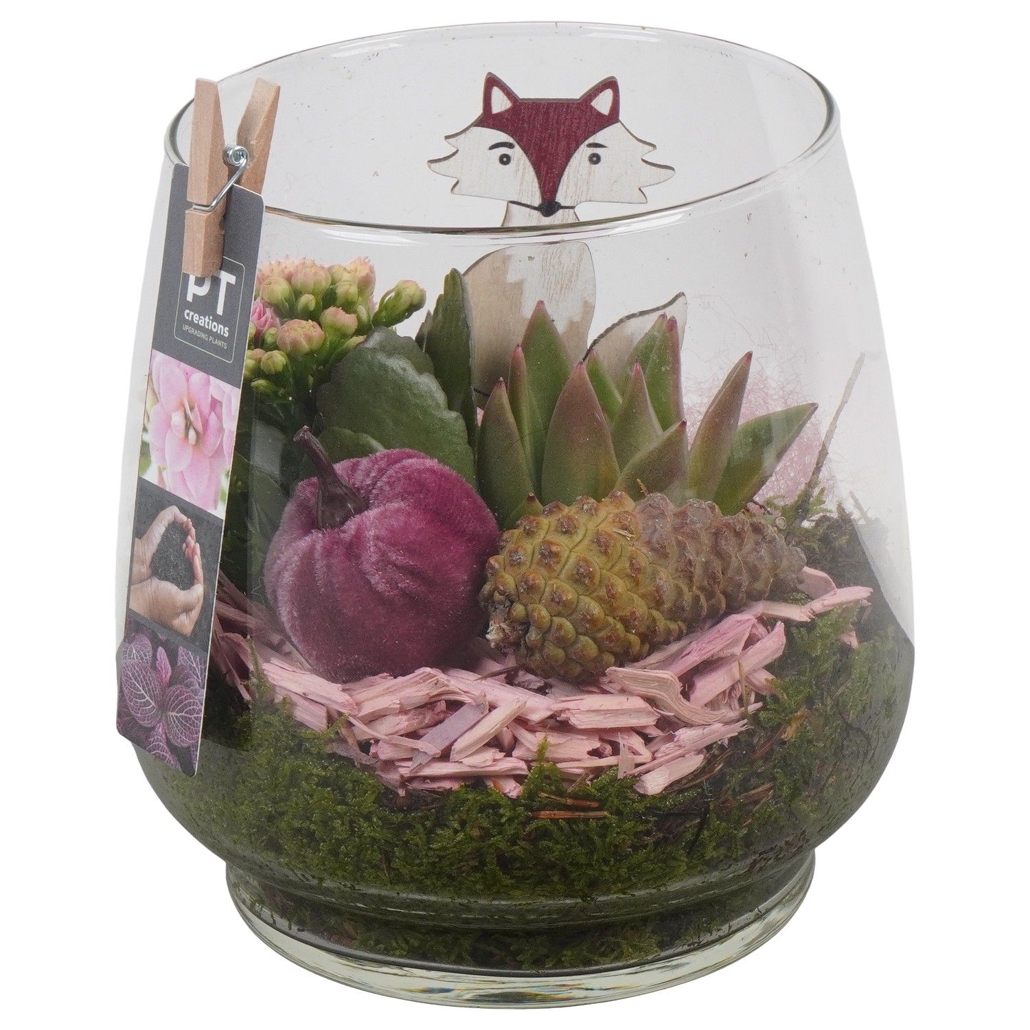 PTHG3385 Arrangement Autumn Glass in glas vaas, D 16 cm PTHG3385 Arrangement Autumn Glass in glas vaas, D 16 cm