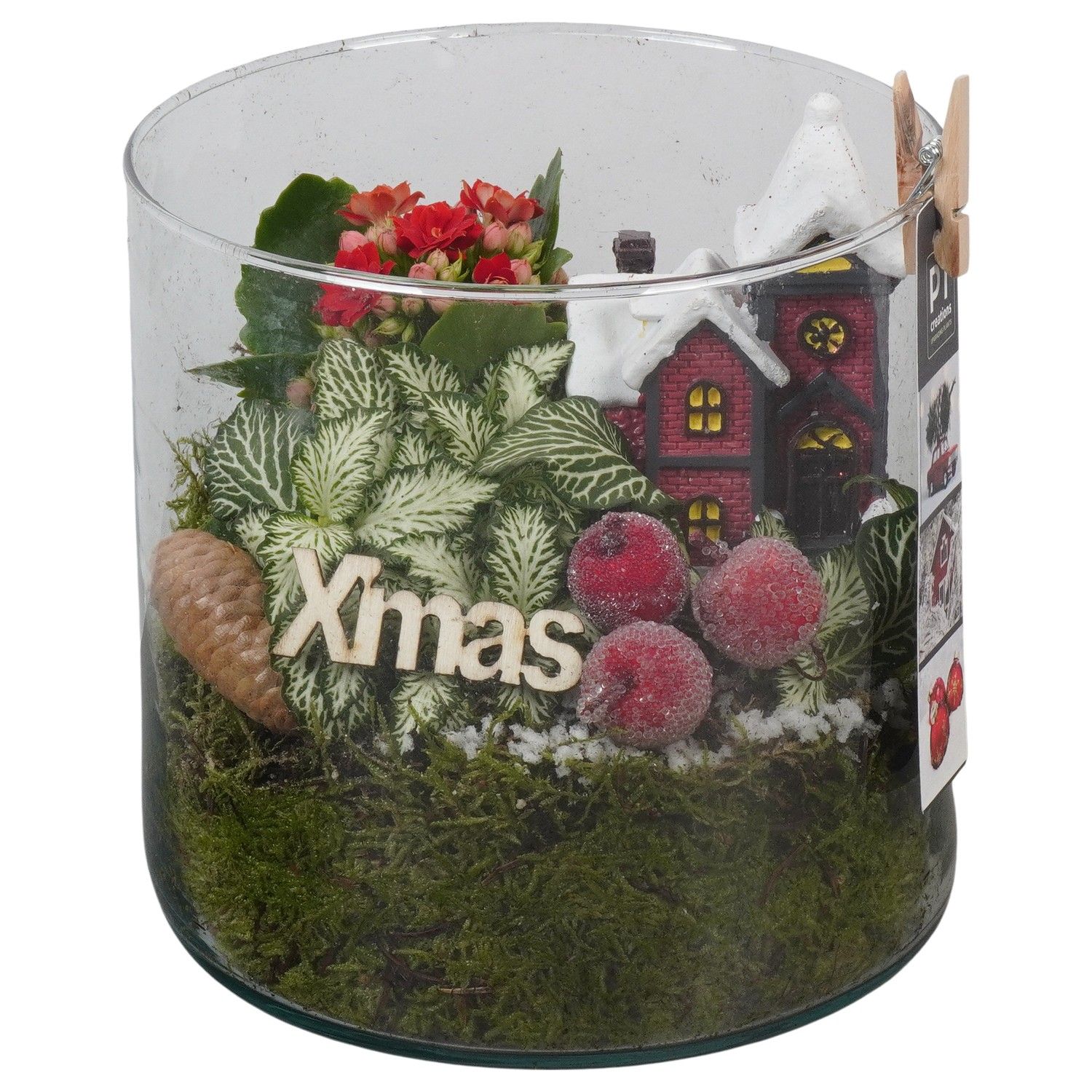 PTCHR7467 Arrangement Christmas Red in glazen pot, D 15 cm