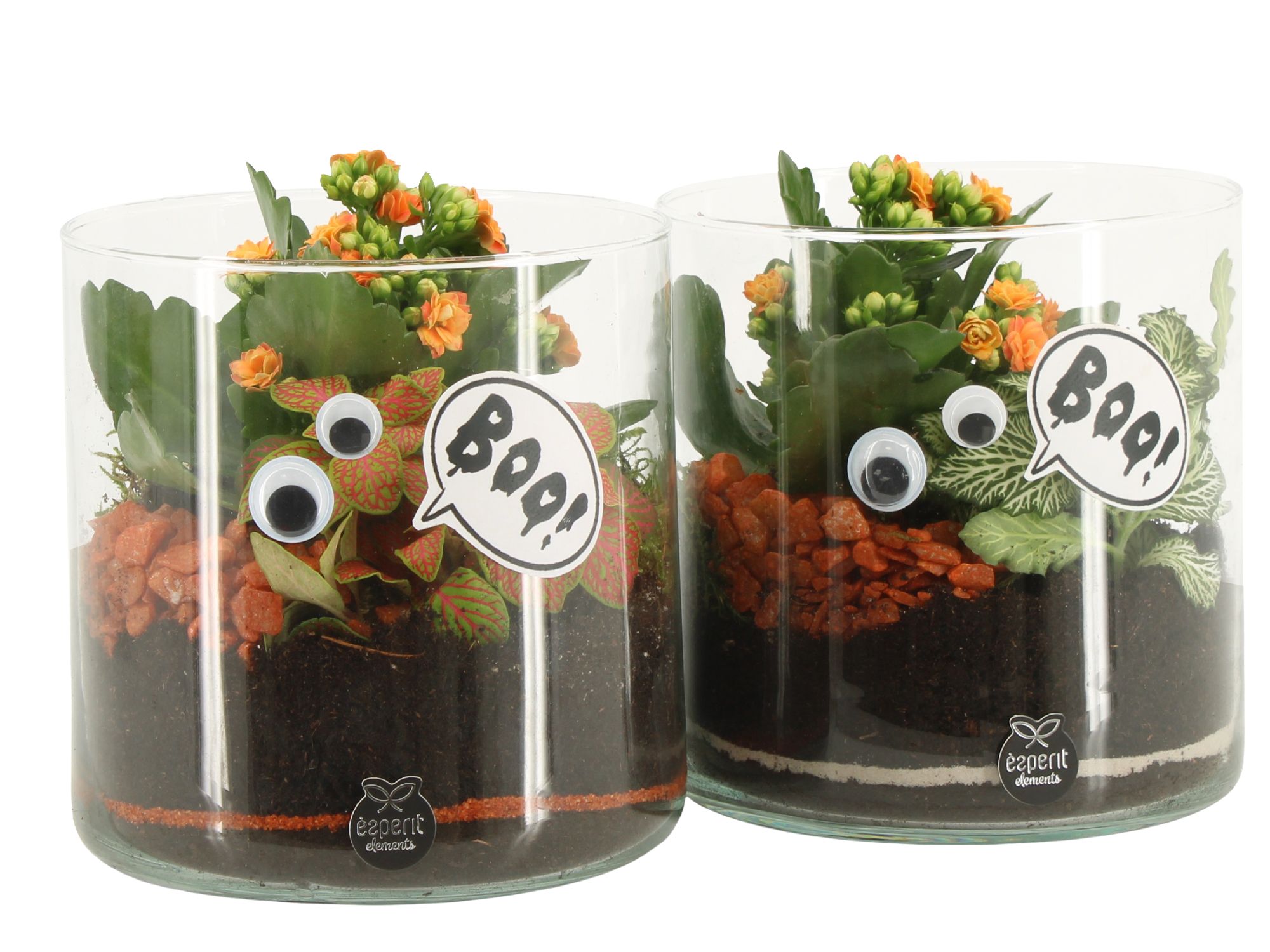 83278: Halloween arrangement, D 15 cm 83278: Halloween arrangement, D 15 cm