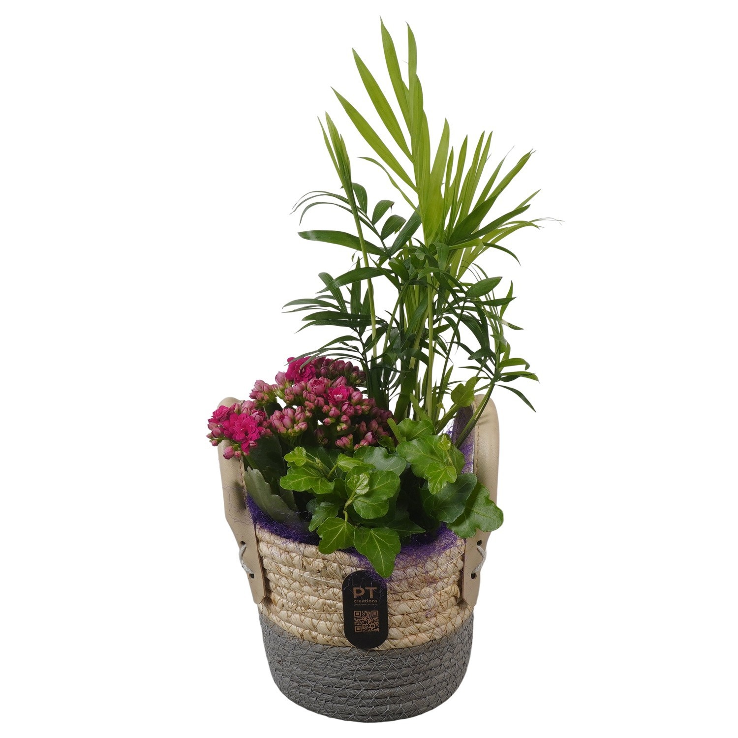 PTIB5227 Arrangement Indoor in rieten mand, D 14