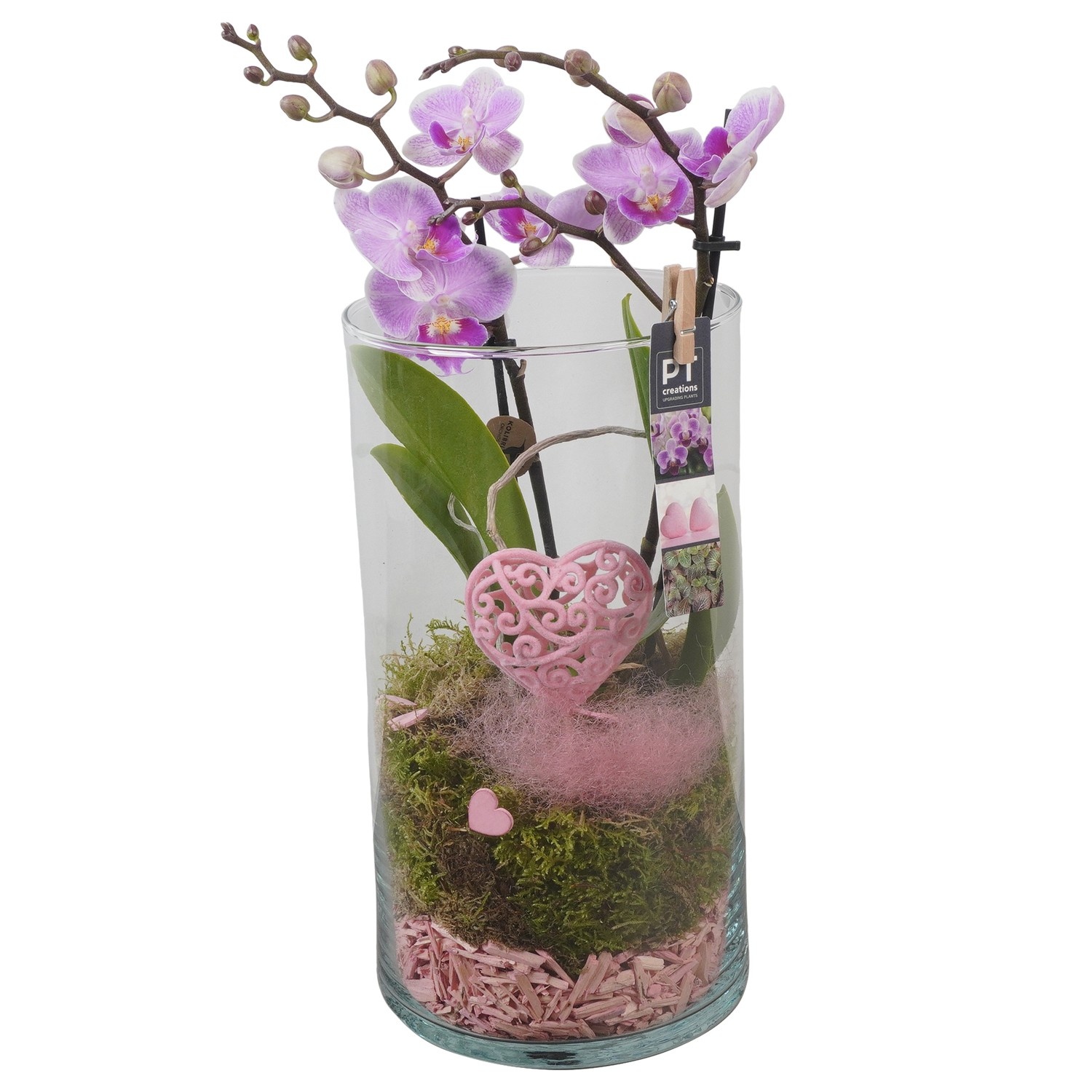 PTVMG4932 Arrangement Valentines-Mothersday in glas vaas, D 16