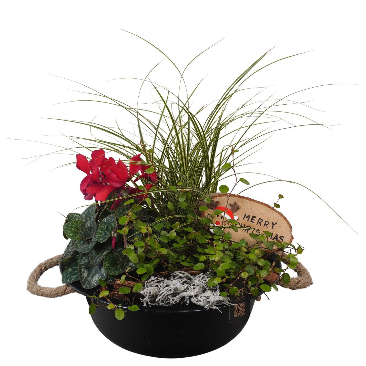 PTCHO5492 Arrangement Christmas Outdoor in metalen schaal, D 24