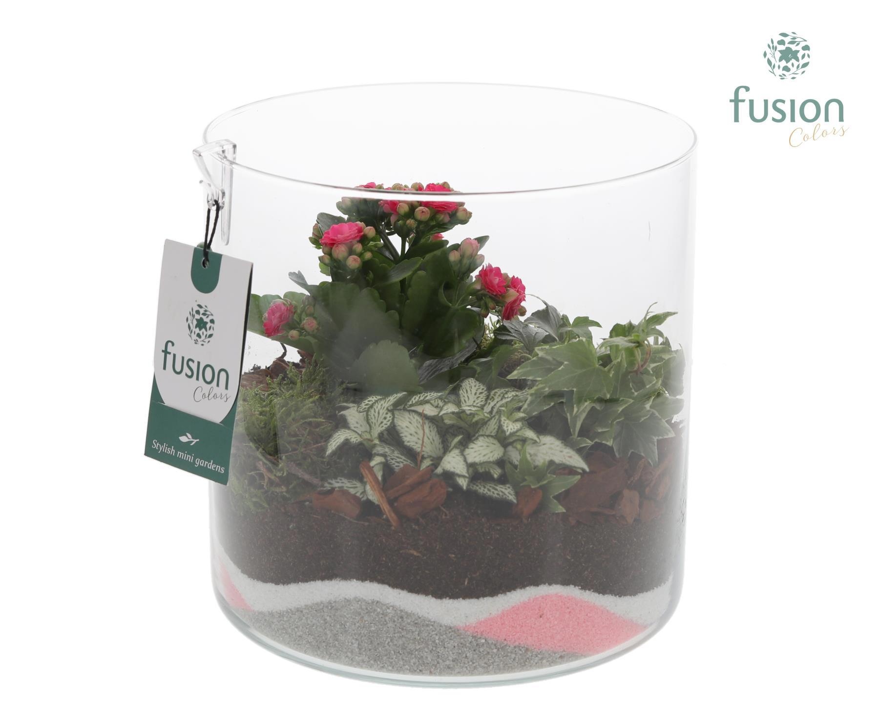 Glas Cilinder met arrangement, D 19