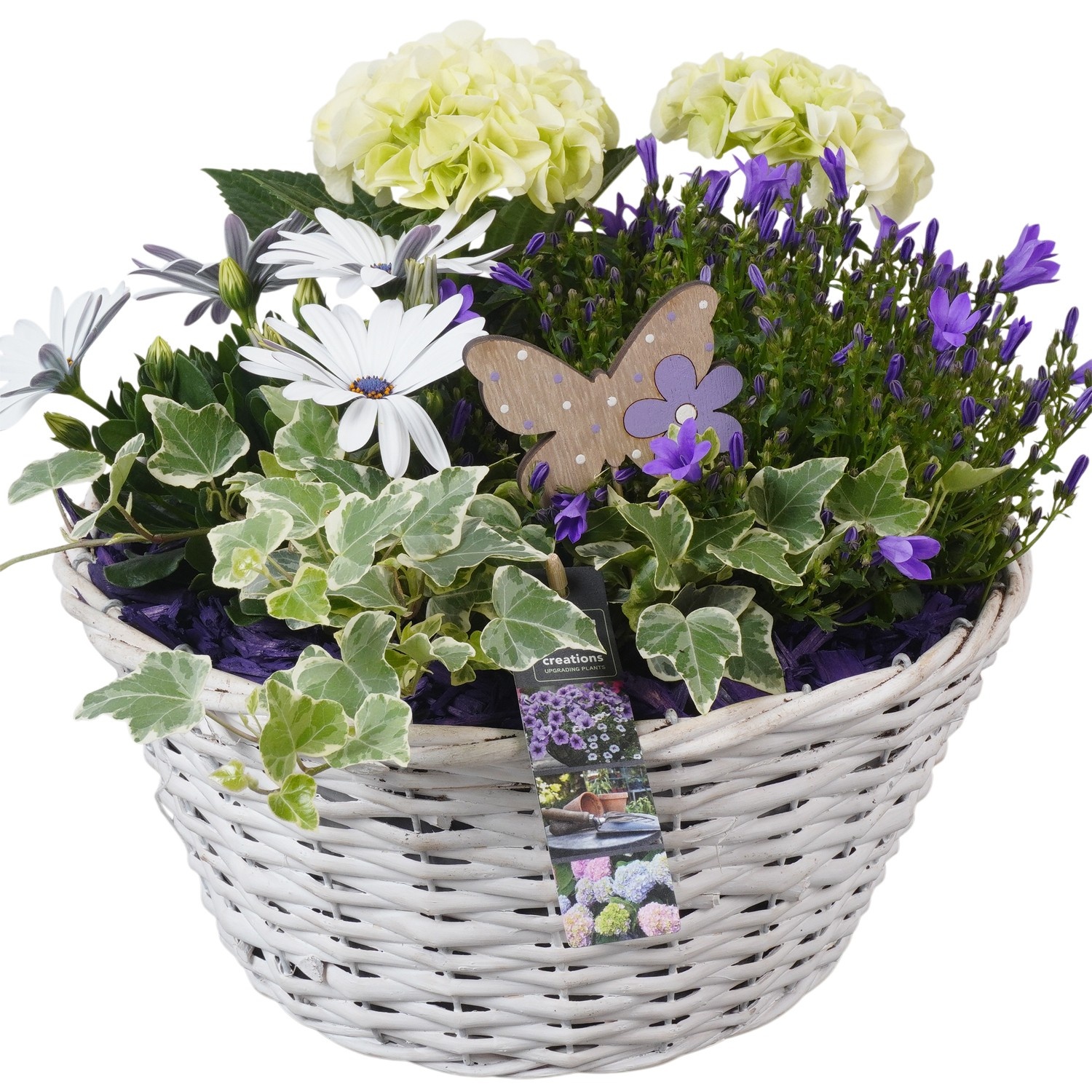 PTPP6966 Arrangement Patio in rieten mand, D 30