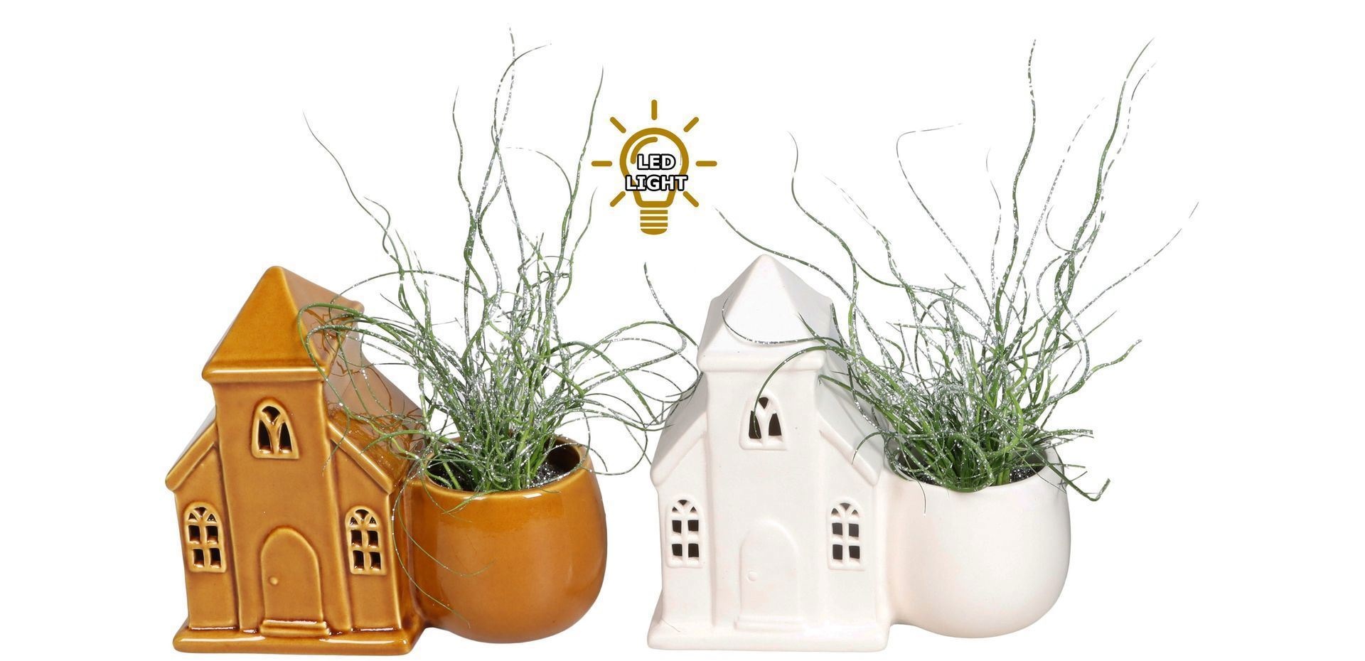 L 67470 With Juncus 'Spiralis' Glitter 6 cm, D 6