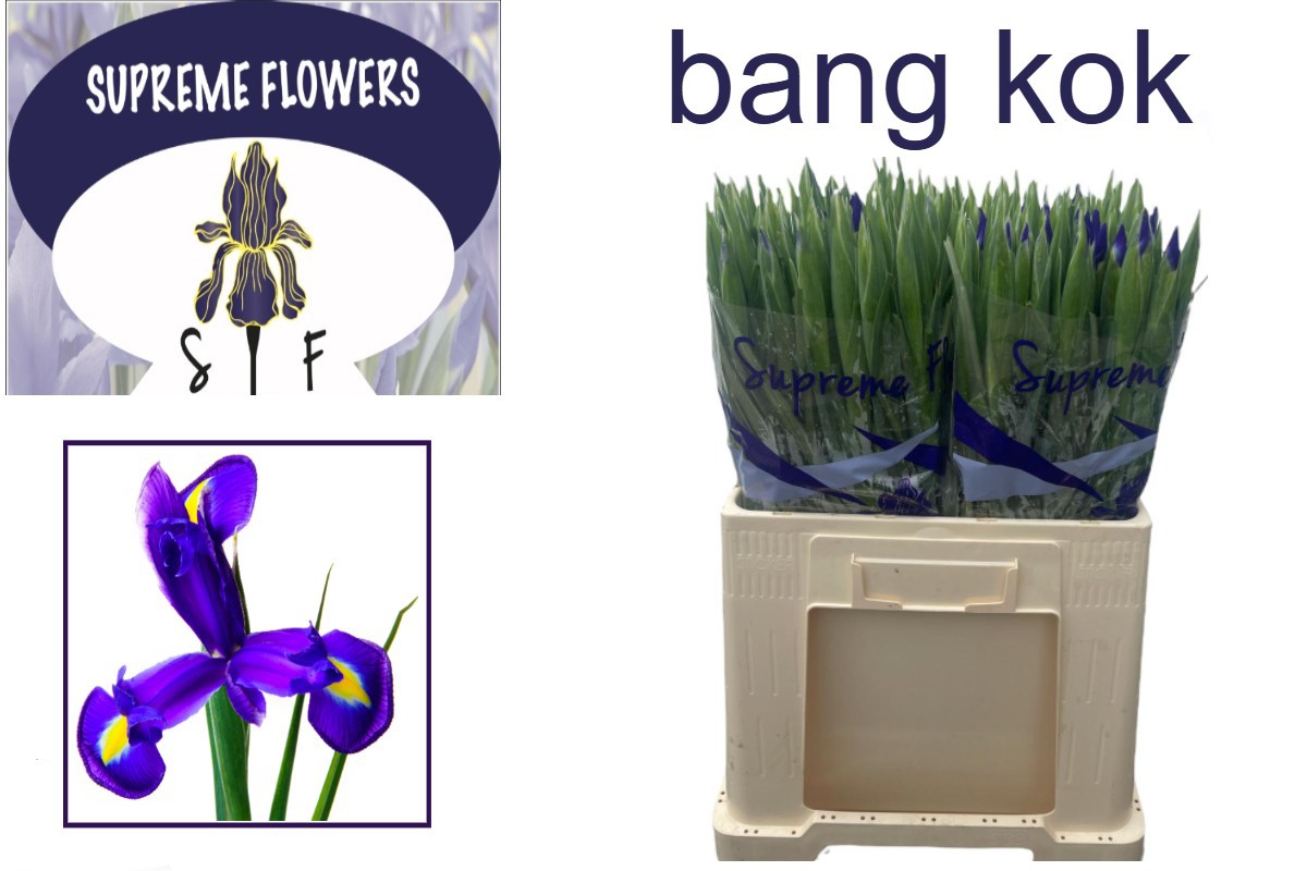 Ирис Овериг, шт.