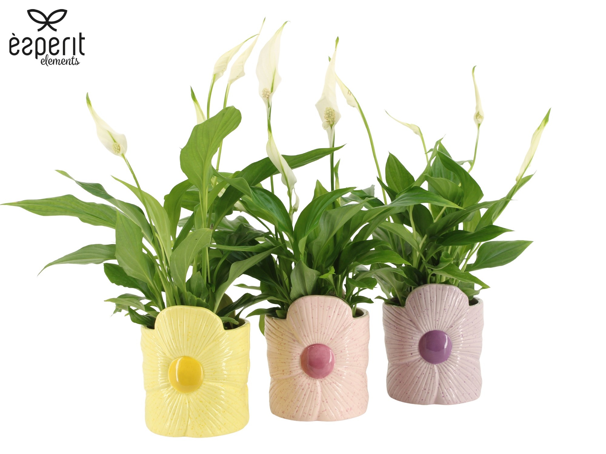 7503539: Solutionss Reinvention, D 9