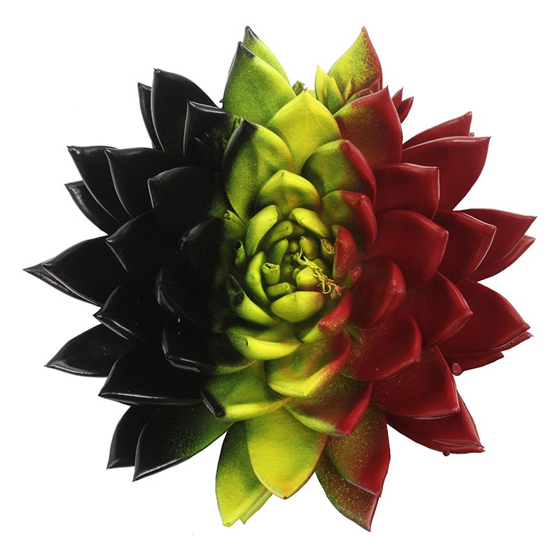 Miranda coloured flag Belgium, D 10,5