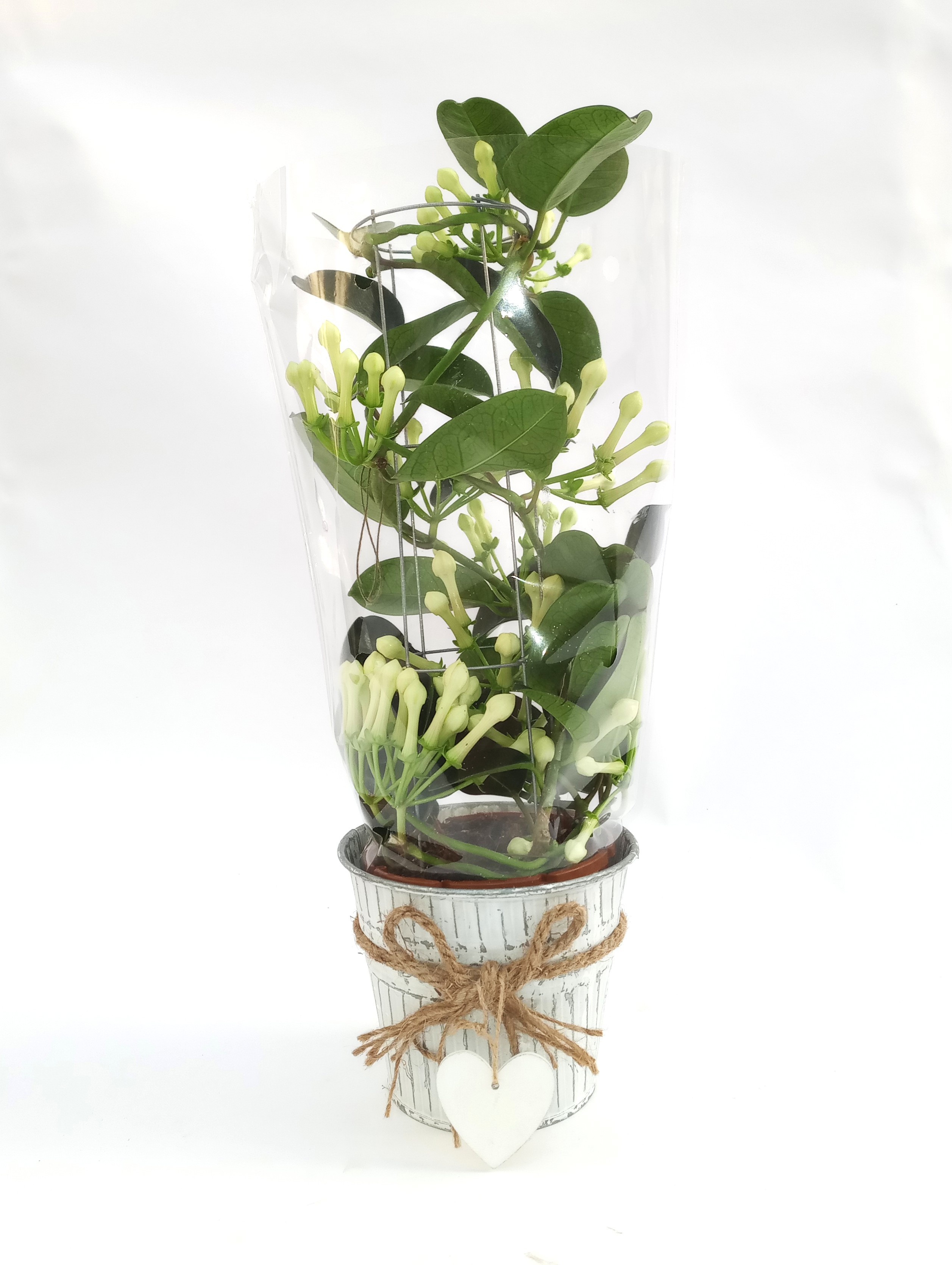 Steph.Luxe Tower Zink Evi, D 12