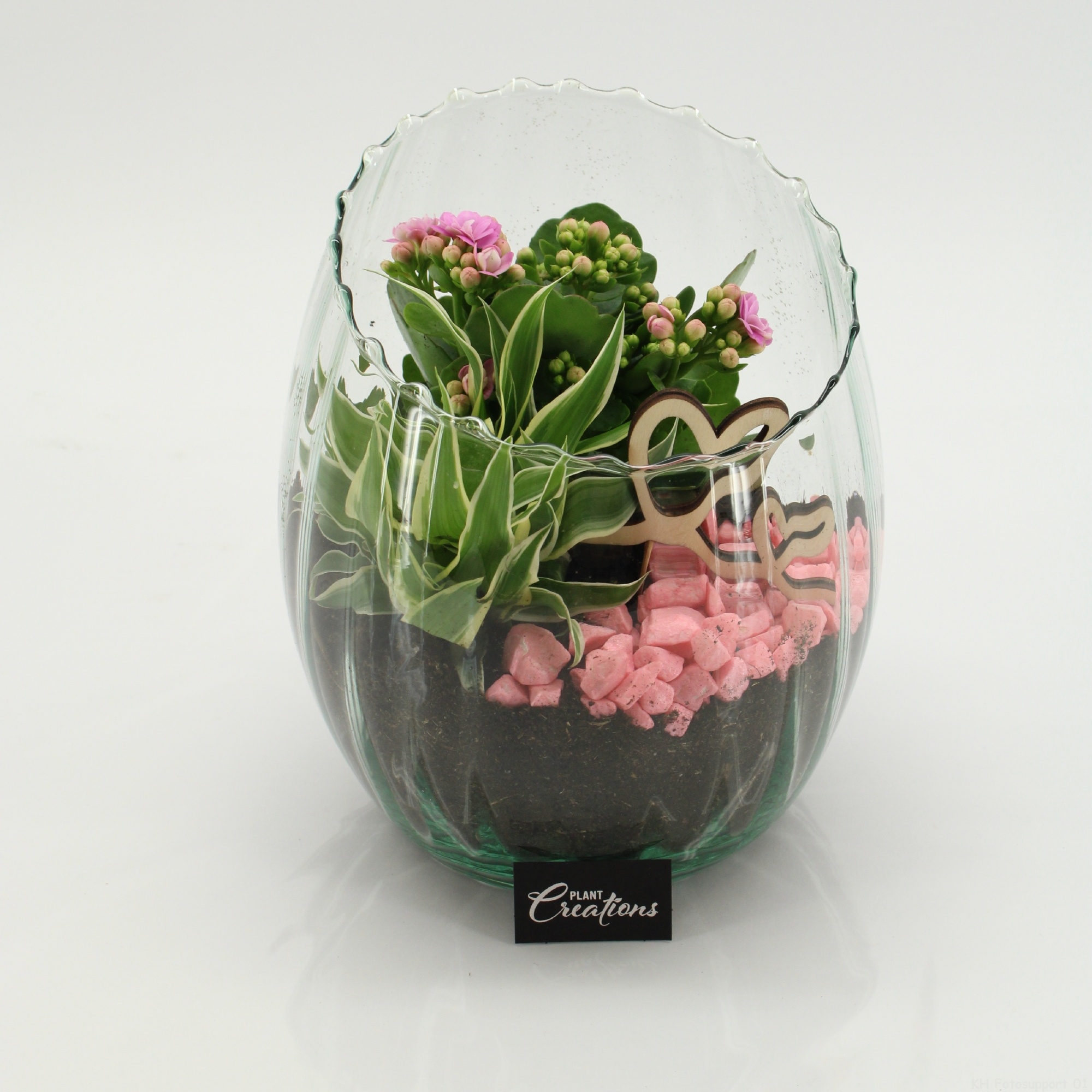 ENMD-2612 English Mother's day, D 16