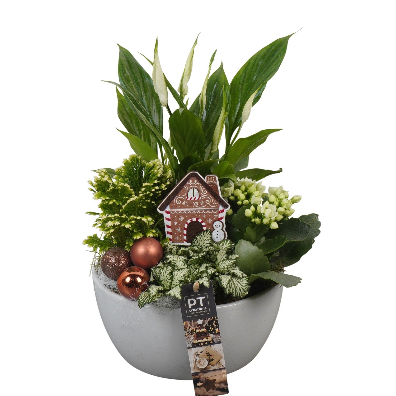 PTCHB9752 Arrangement Christmas Bronze in keramiek schaal, D 18 cm