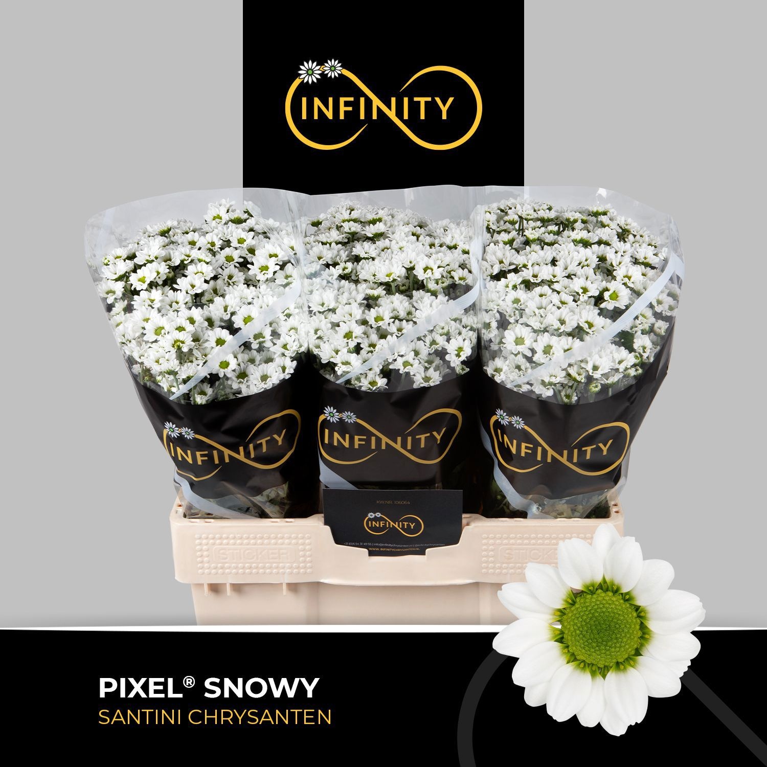 Сантини Пиксель Сноуи, шт.