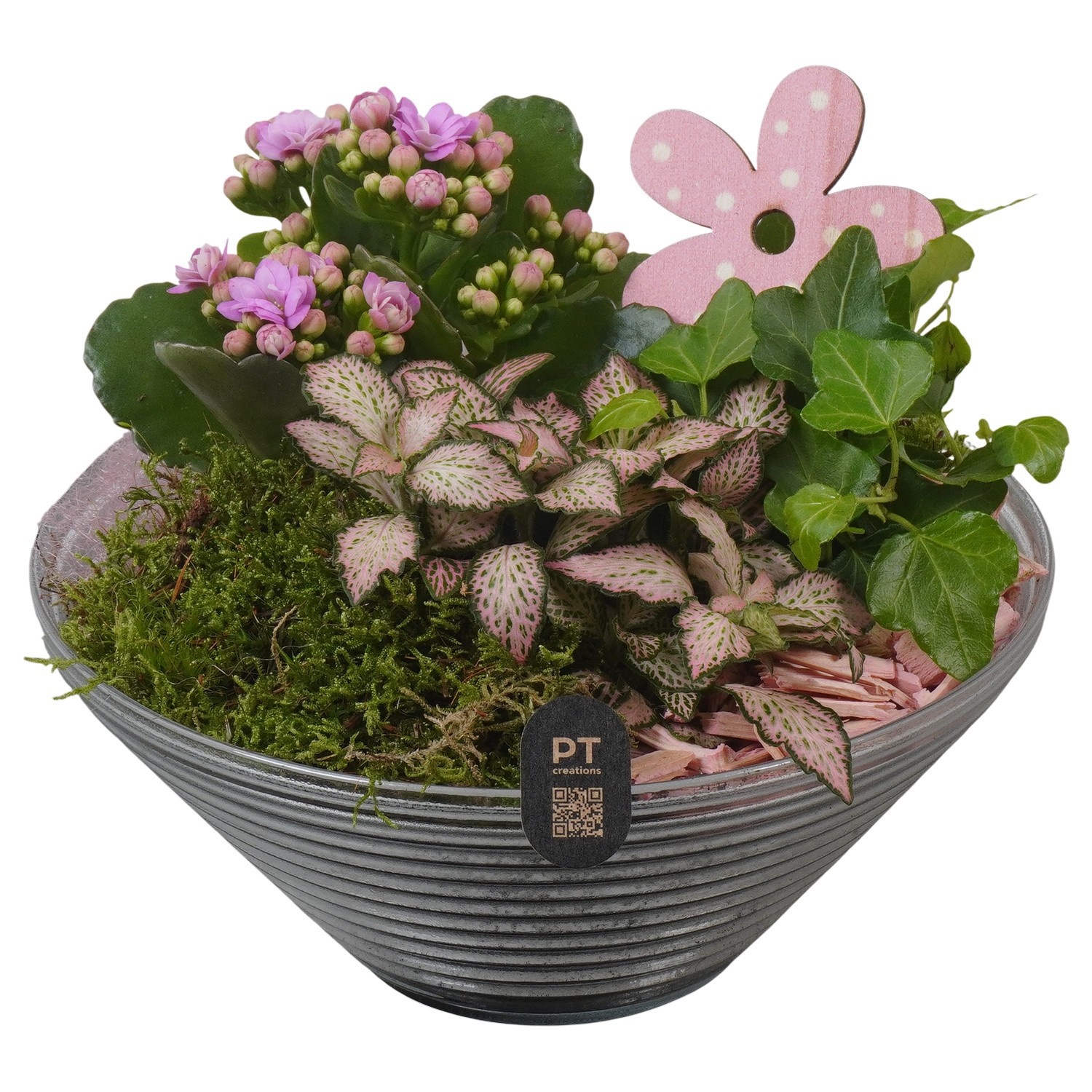 PTIG2659 Arrangement Indoor in glas schaal, D 19