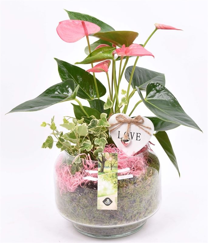 Glas op voet 18cm, D 18