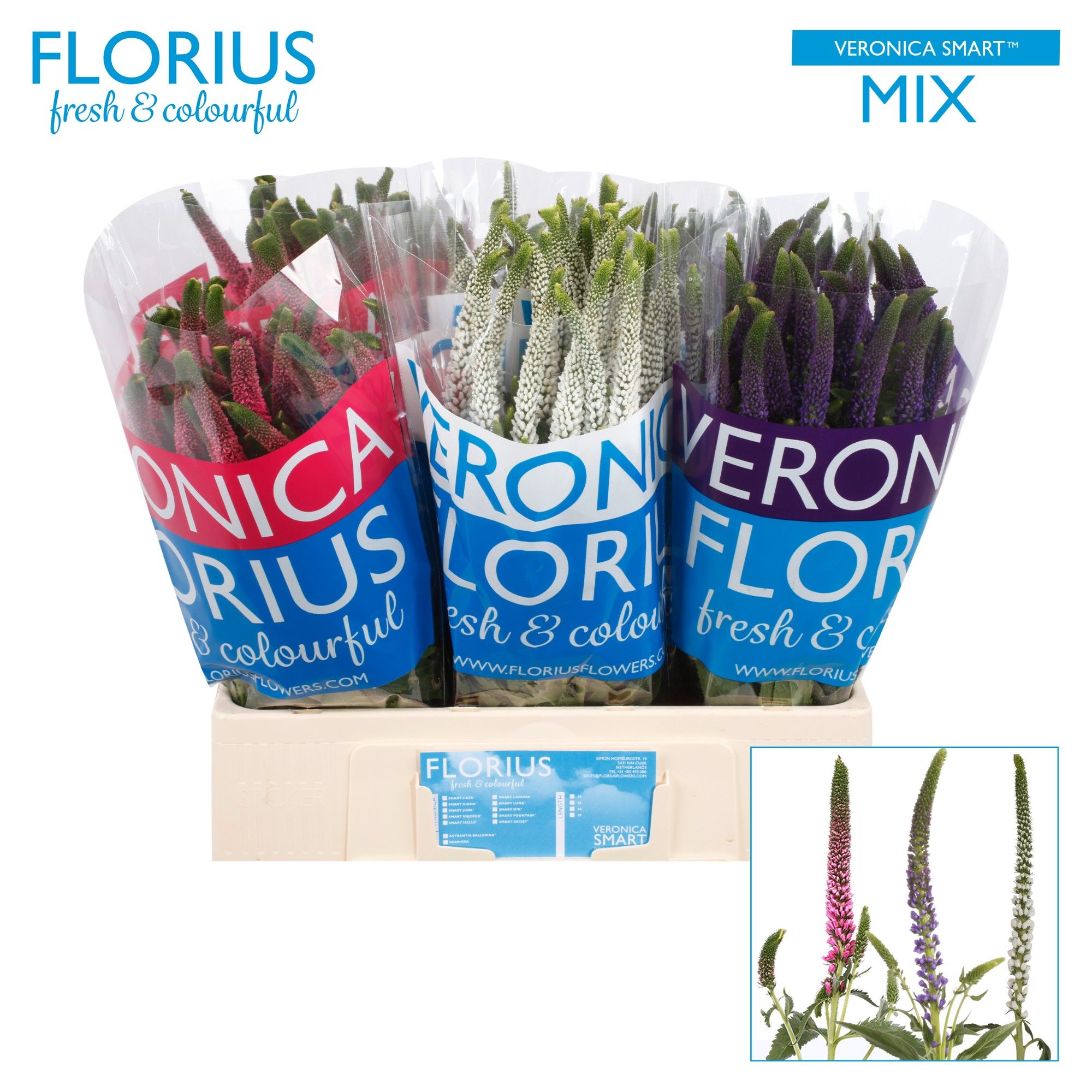 Вероника Смарт Микс 60, шт.