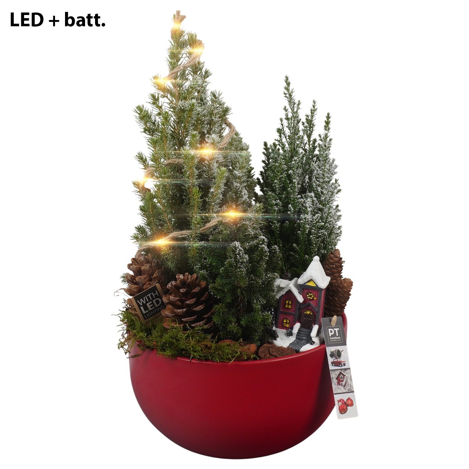 PTCHR7242 Arrangement Christmas Red in keramiek schaal, D 26 cm