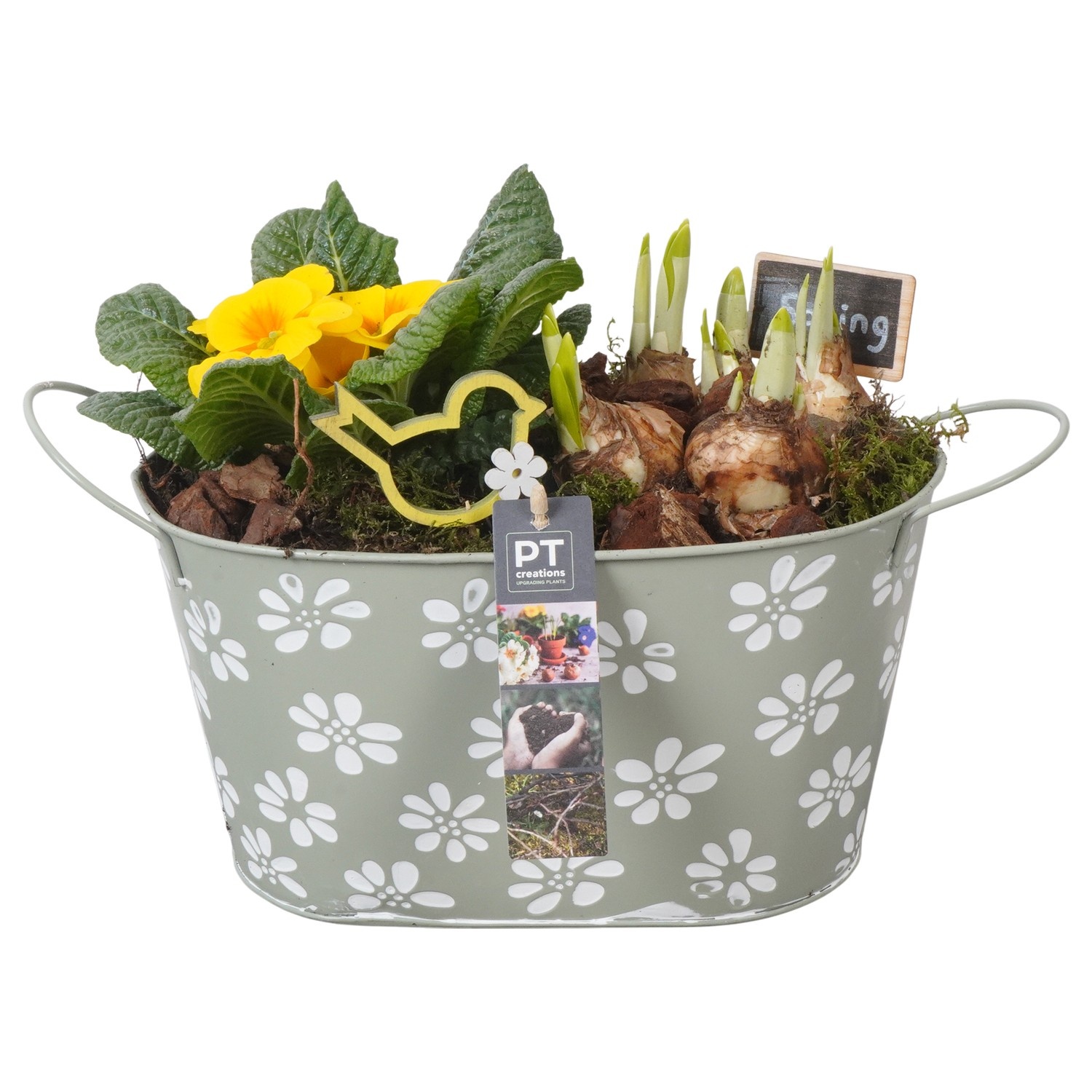 PTBM3762 Arrangement Flower Bulbs Mix in metalen pot, D 27