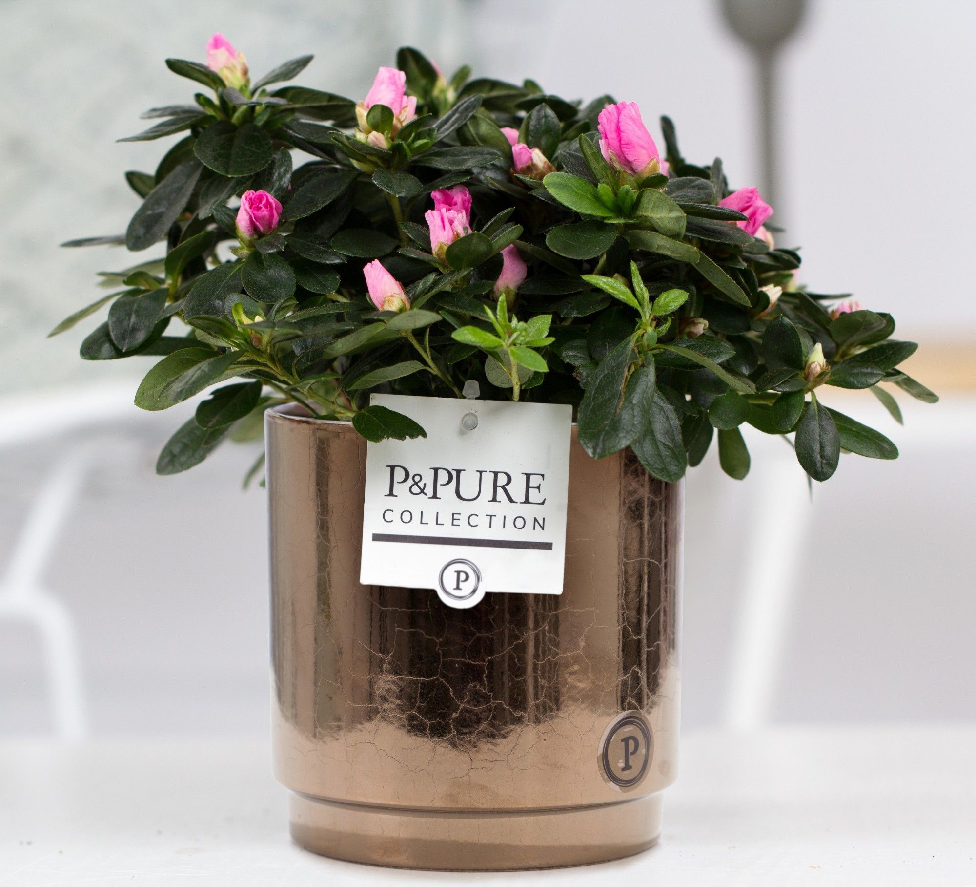 Azalea P&PURE Collection Juliette Goldbronze keramiek roze, D 12