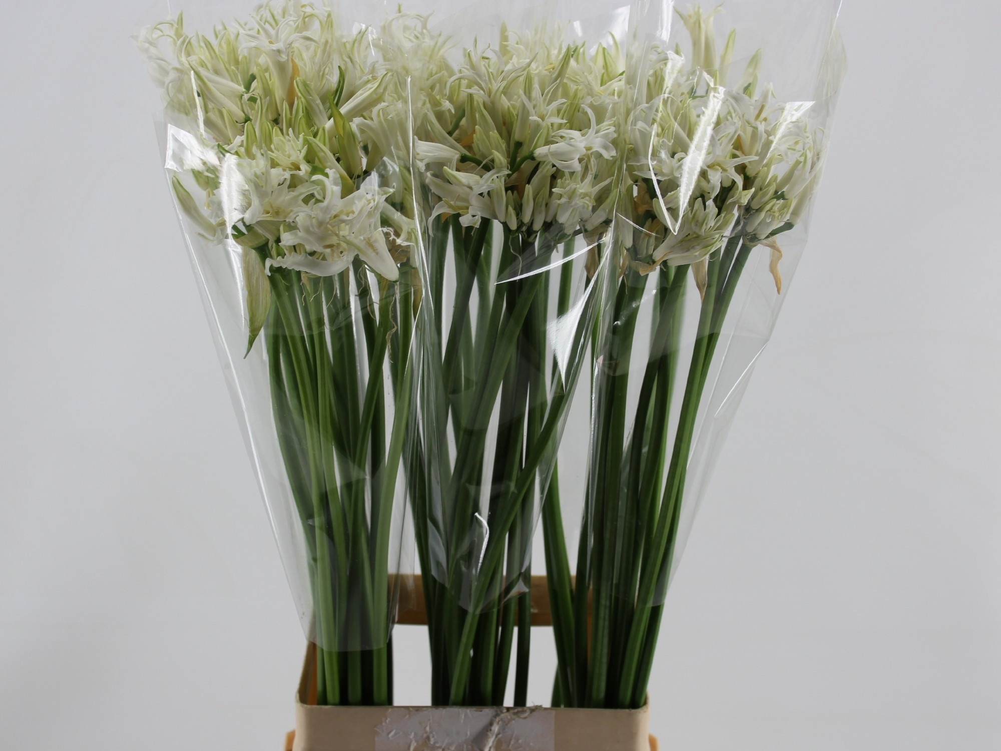 Нерине Лайк Э Верджин 80, шт.