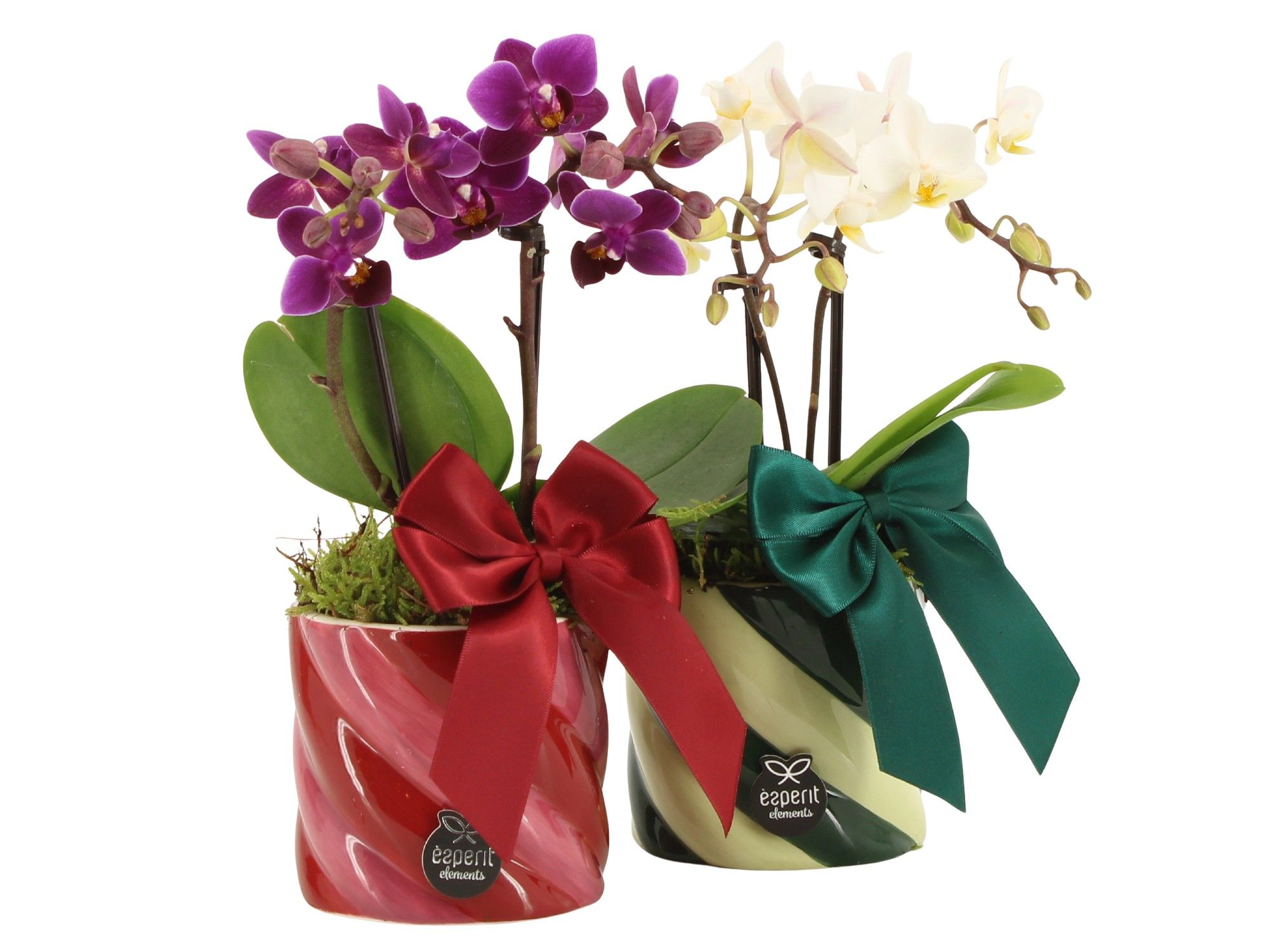 61775: X-mas arrangement, D 8