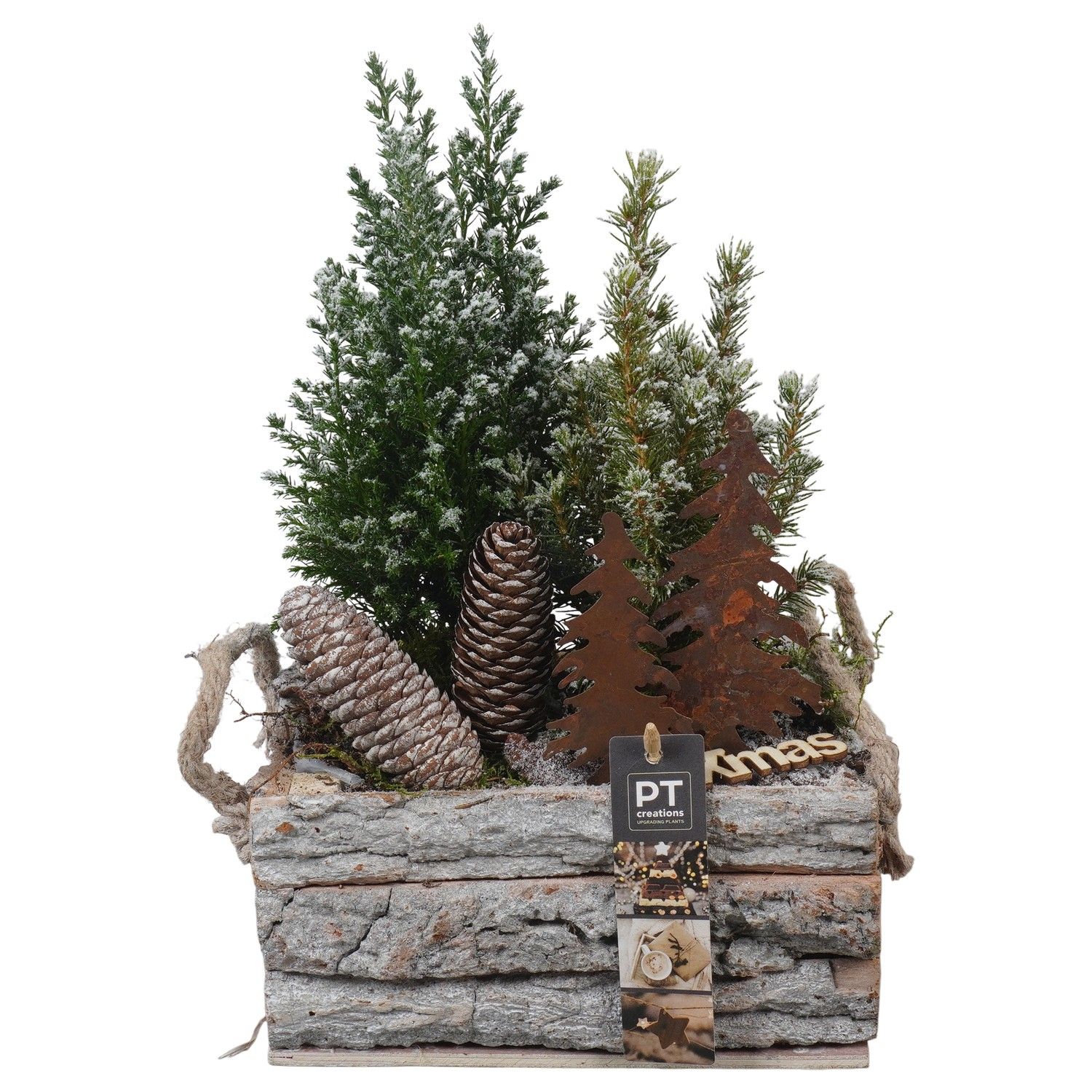 PTCWW6854 Arrangement Winter in houten bak, D 20 cm