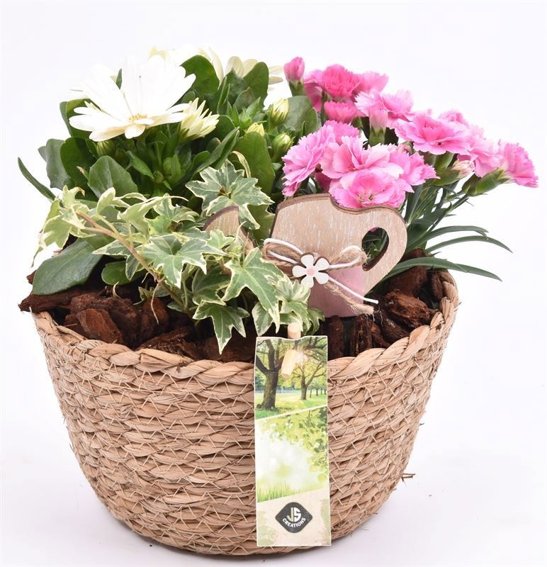 Touwmand naturel 18cm, D 18