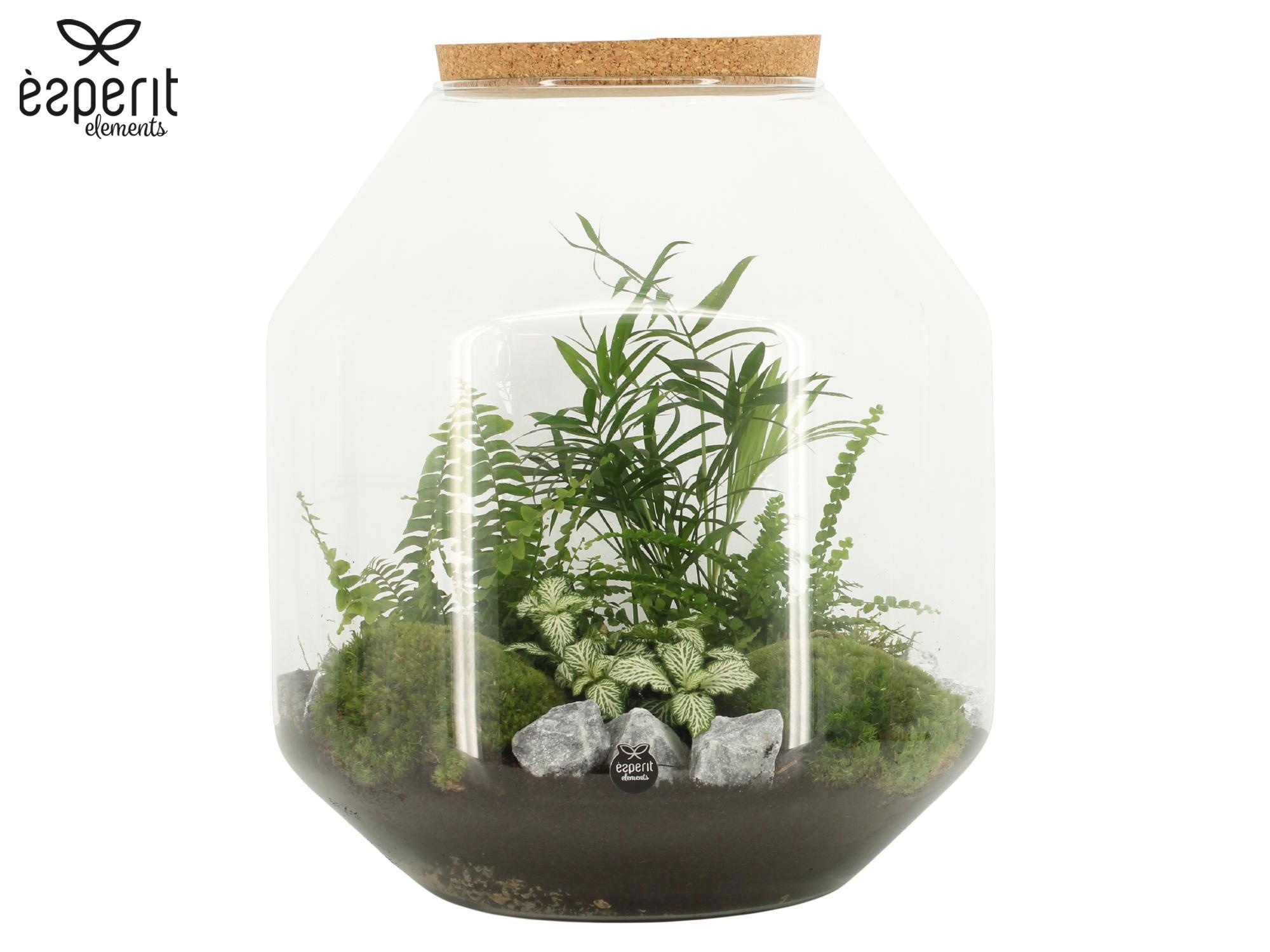 90847: Terrarium arrangement, D 33