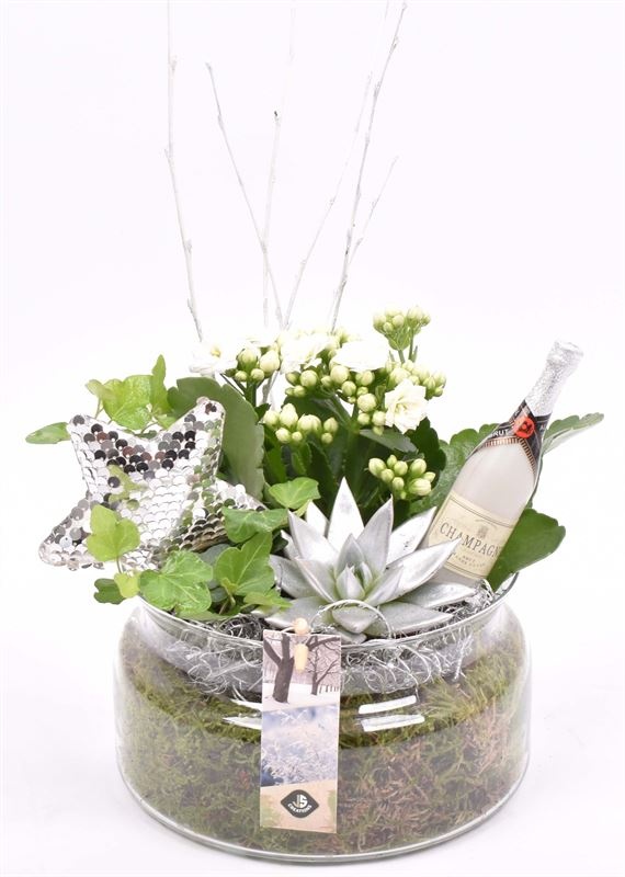 Glas schaal met hals 17 cm, D 17