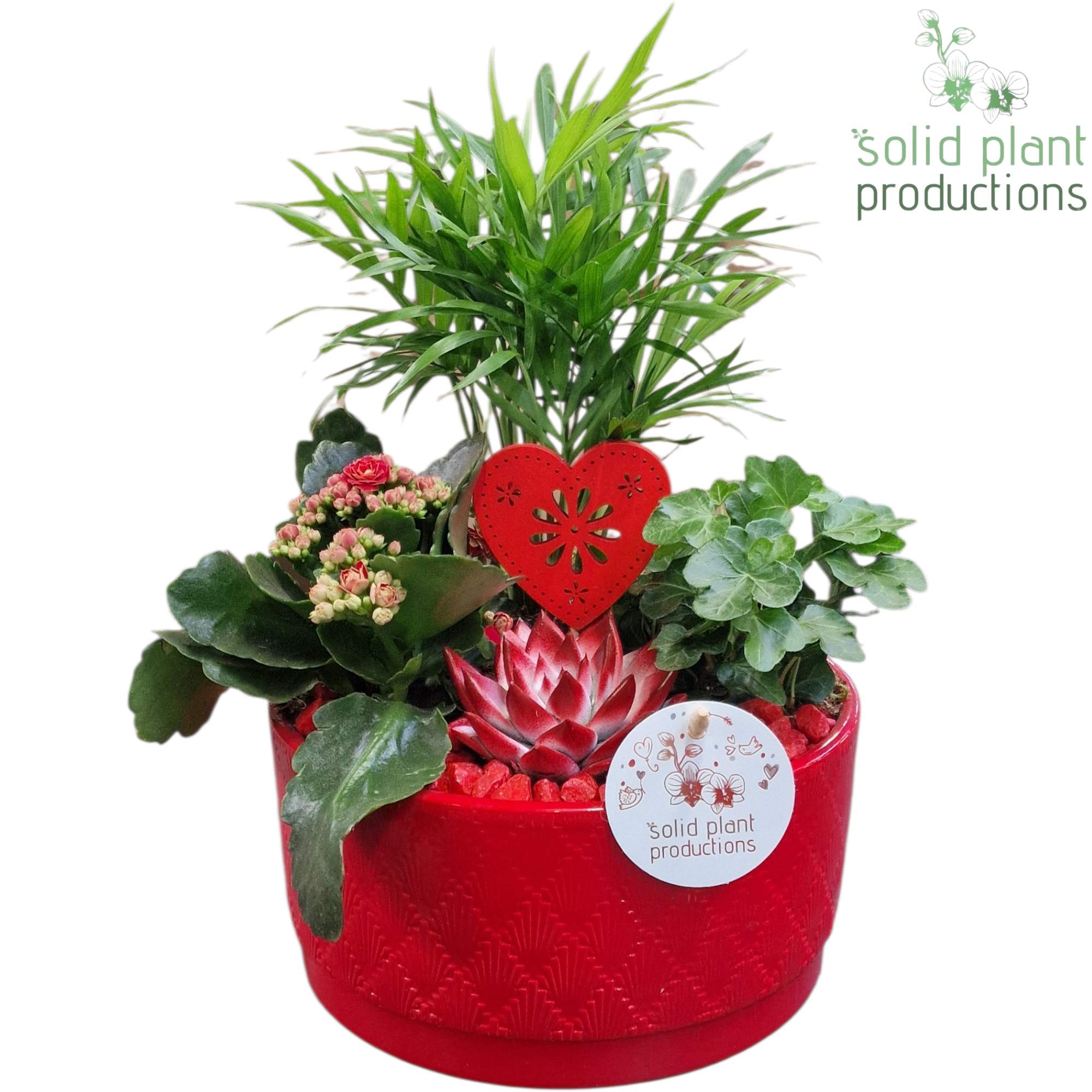 CE003 Loes Red VM, D 18