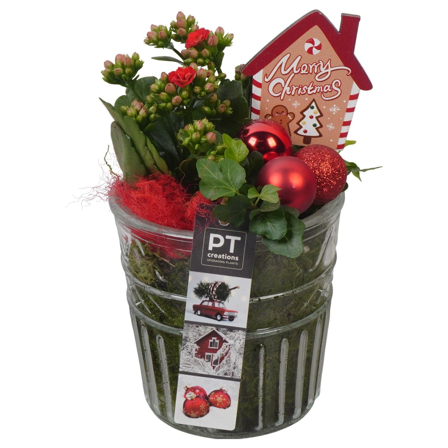 PTCHR7412 Arrangement Christmas Red in glazen pot, D 12 cm
