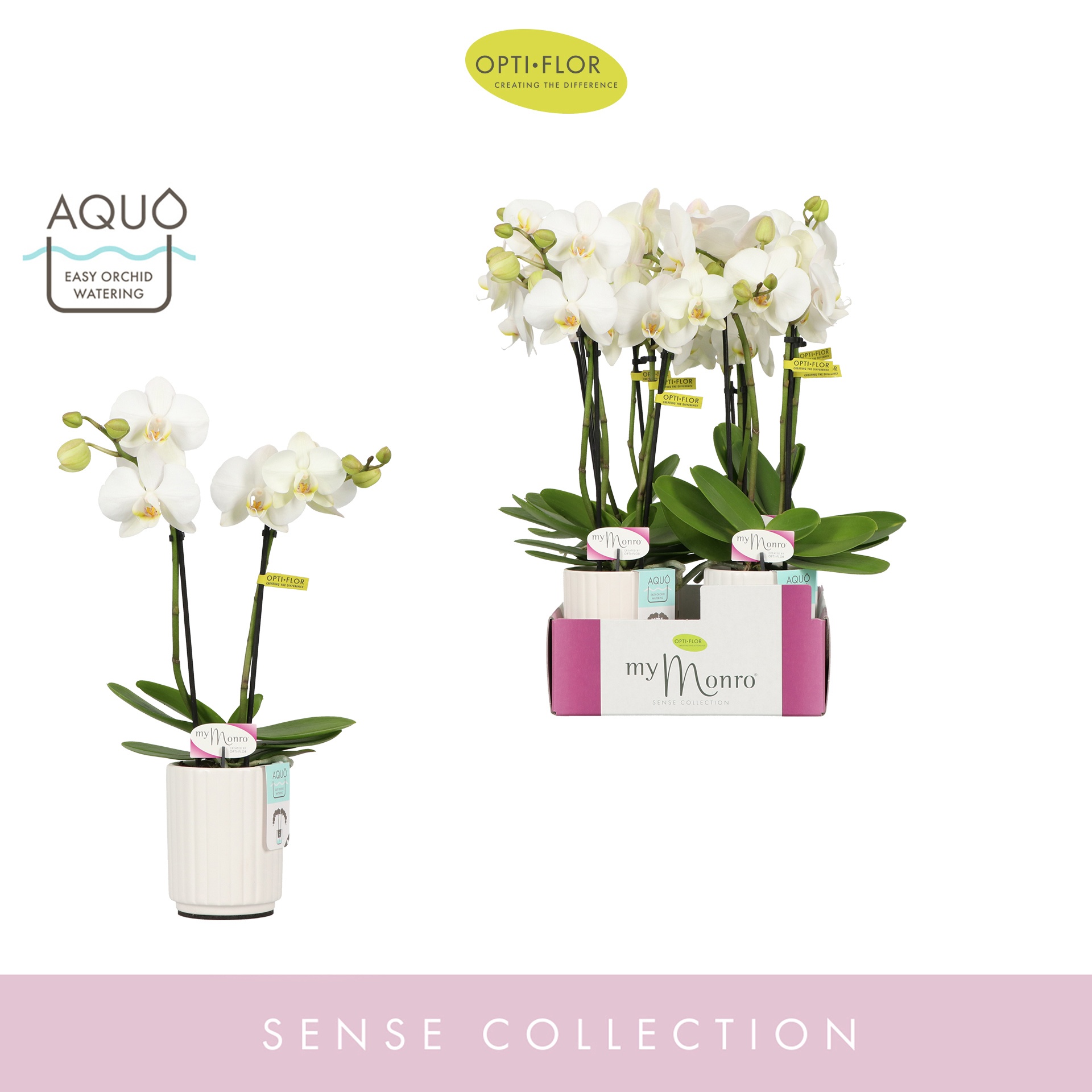 MyMonro Blondy 2 spike in Molise White Aquo, D 7 cm