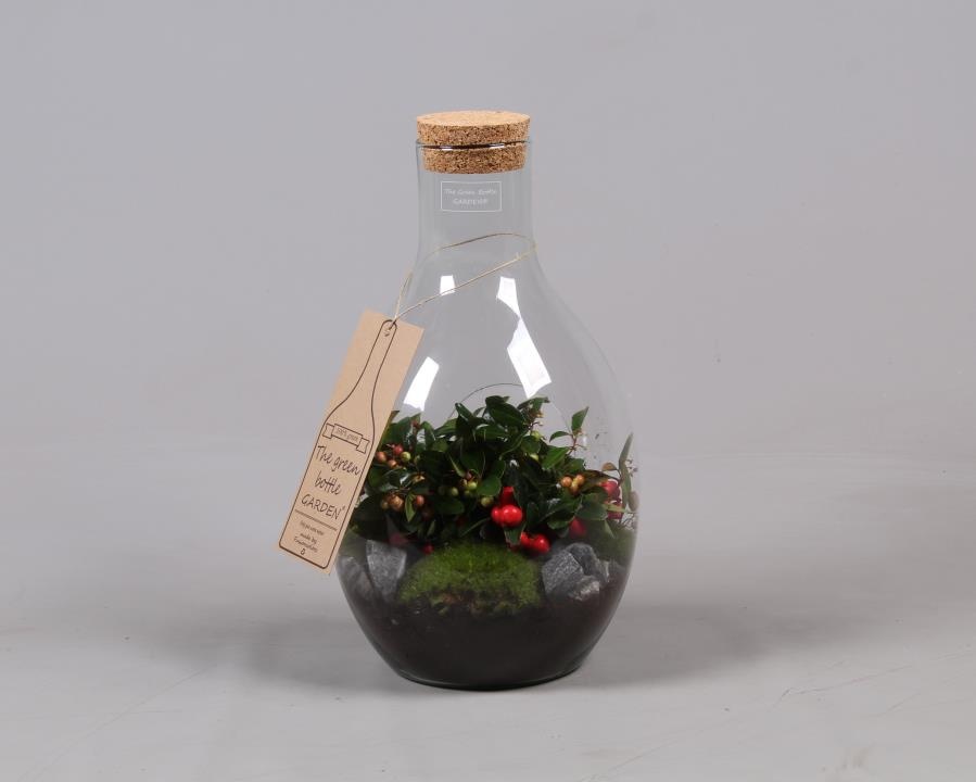 Green Bottle met Gaultheria, D 23 cm Green Bottle met Gaultheria, D 23 cm
