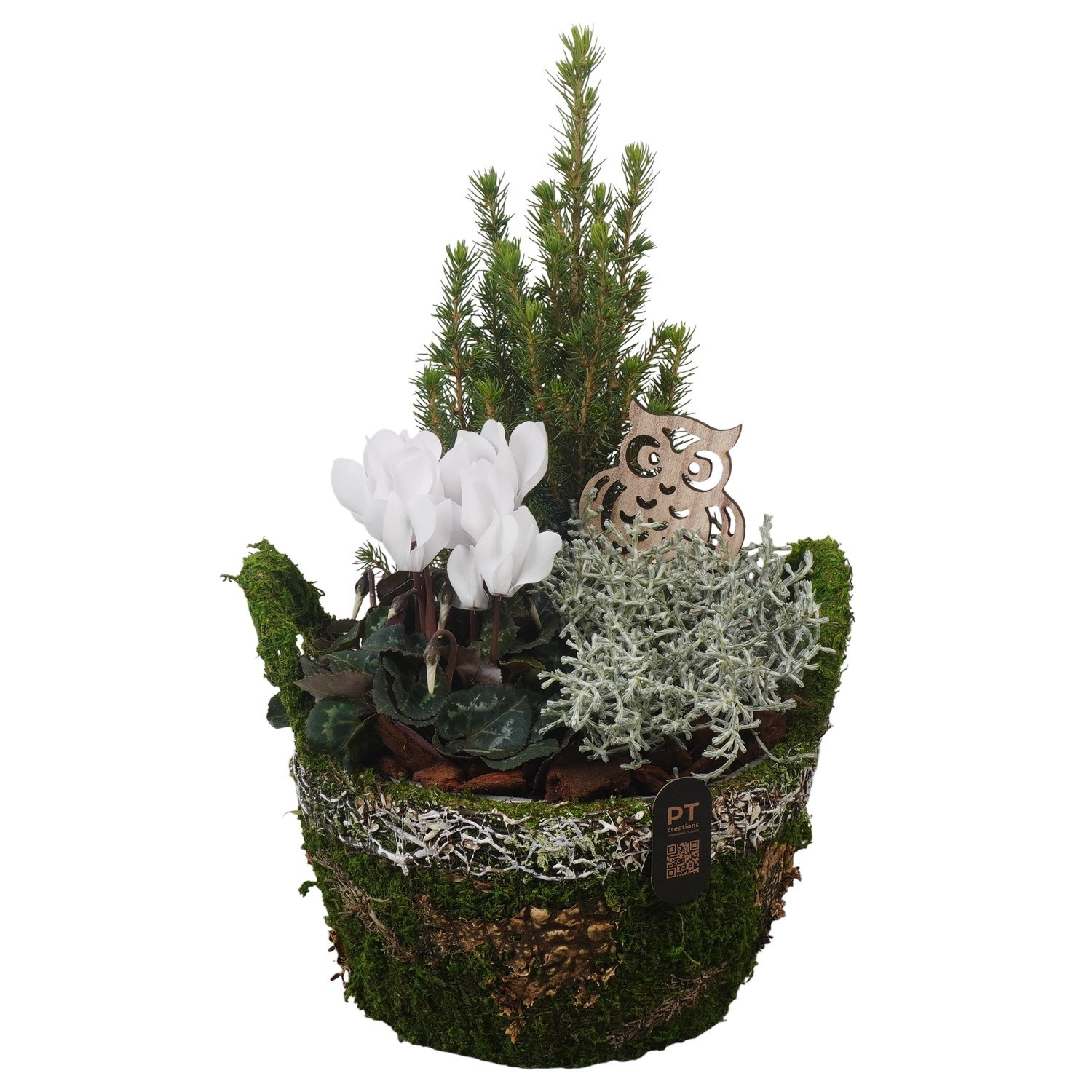 PTWO2873 Arrangement Winter Outdoor in mos mand, D 21