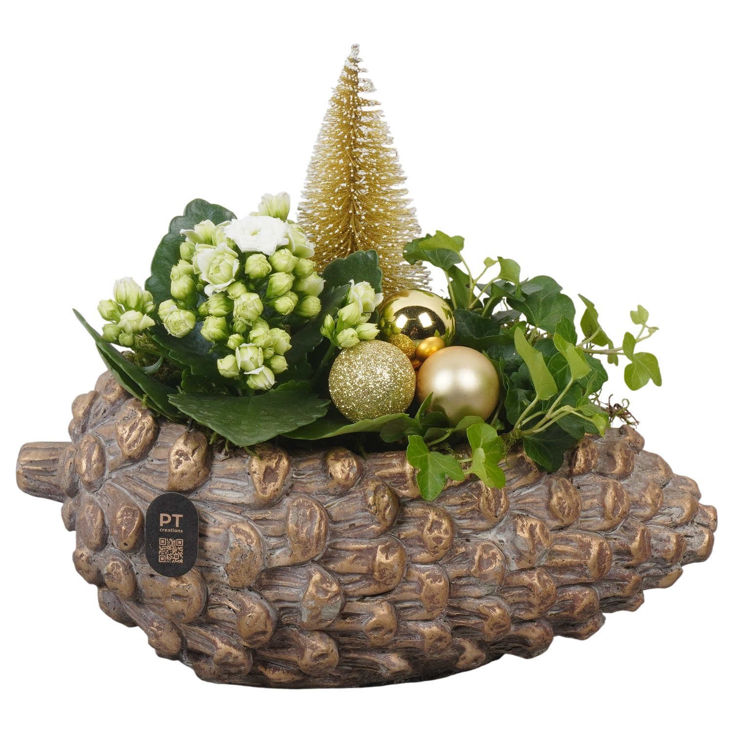 PTCHG4668 Arrangement Christmas Gold in beton pot, D 28