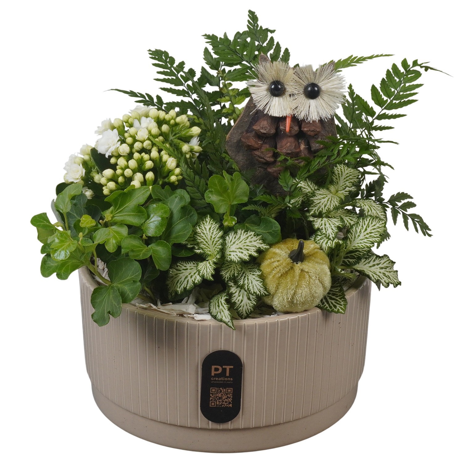 PTHI3217 Arrangement Autumn Indoor in keramiek schaal, D 19