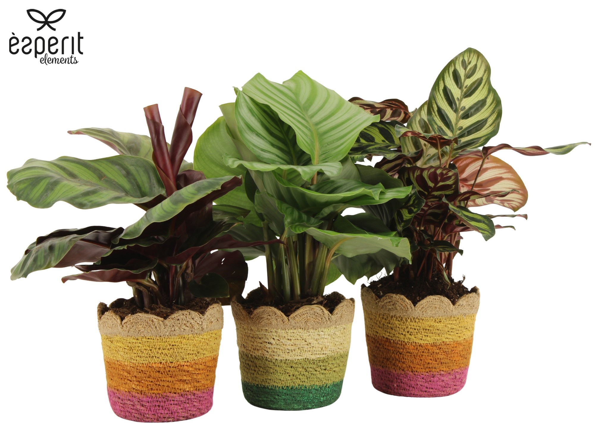 7503607: Solutionss Reinvention, D 12