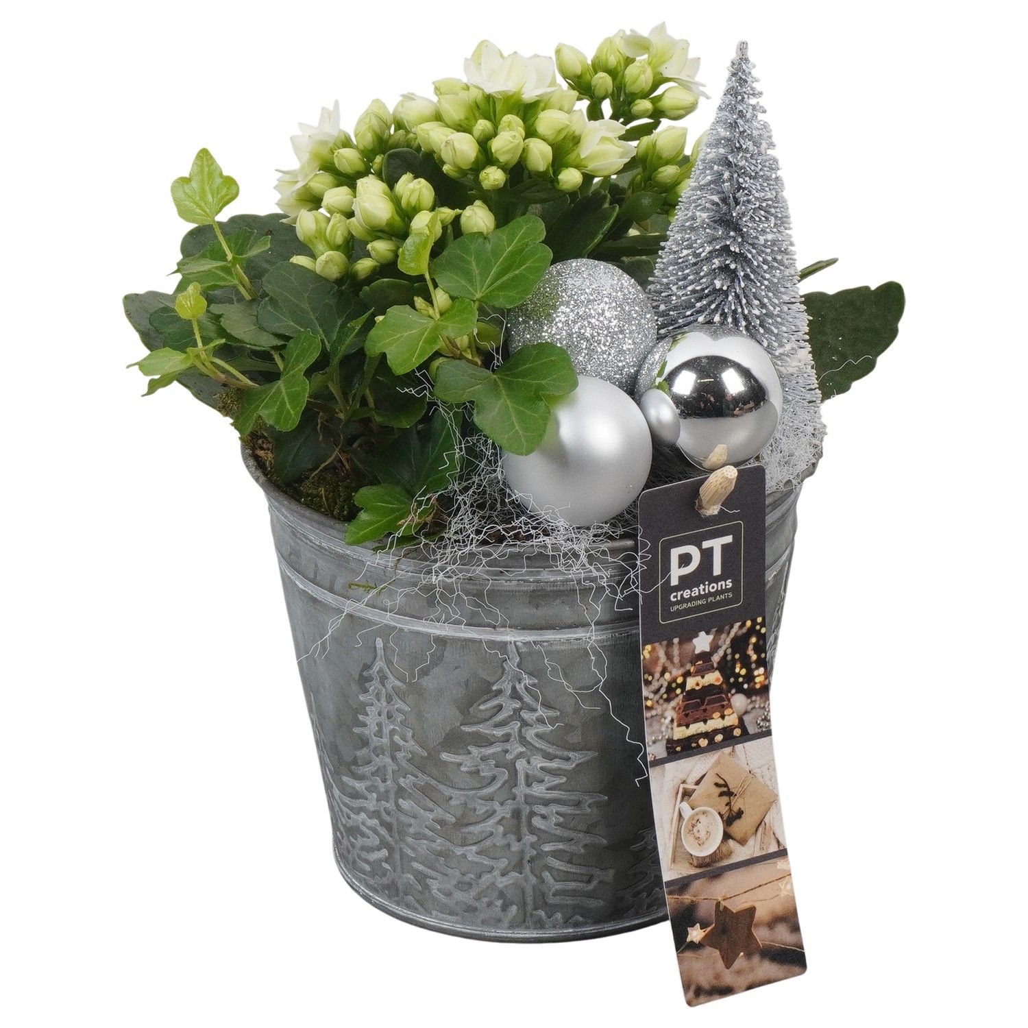 PTCHW4321 Arrangement Christmas White in metalen pot, D 12 cm