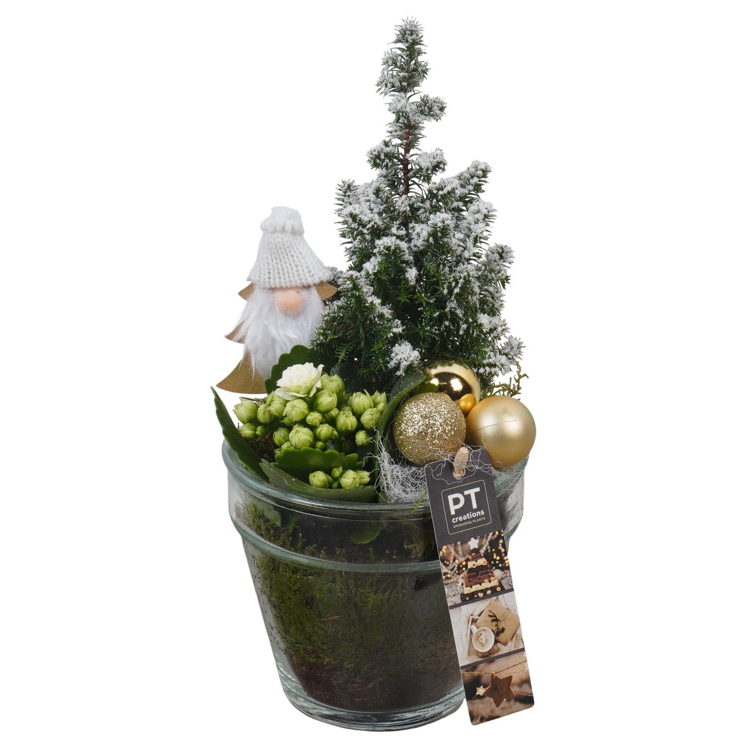 PTCHG5706 Arrangement Christmas Gold in glazen pot, D 13 cm