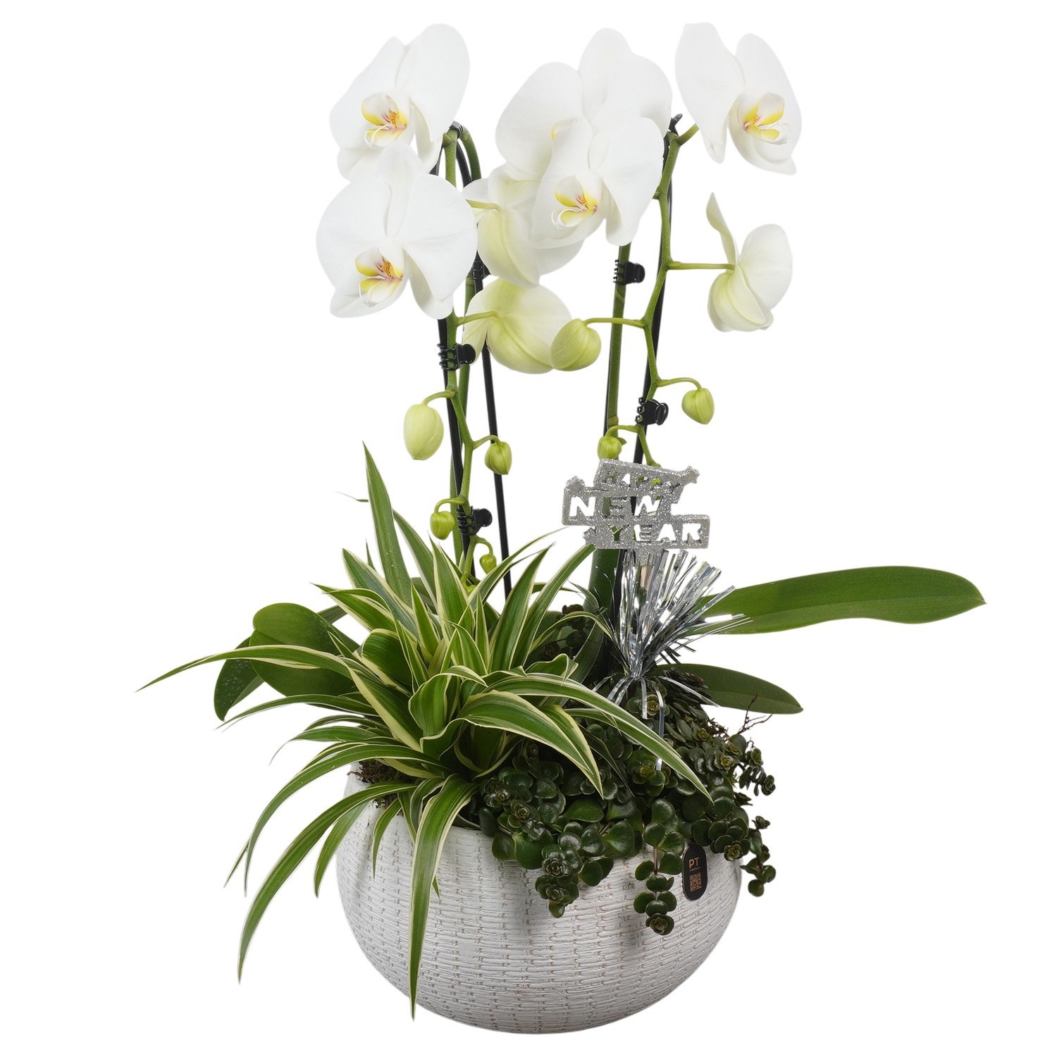 PTON6752 Arrangement New Year in keramiek schaal, D 23