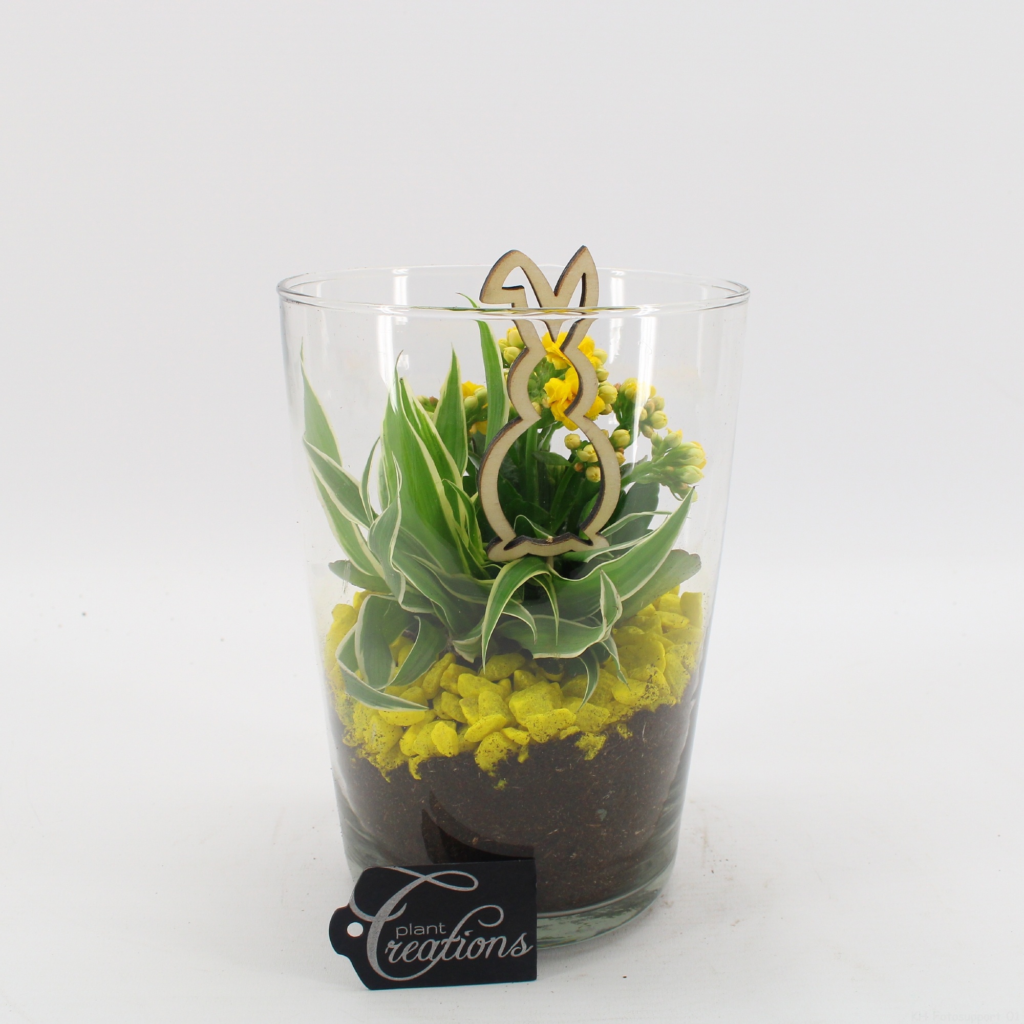 FDPS-2604 Easter Fundamentals, D 14