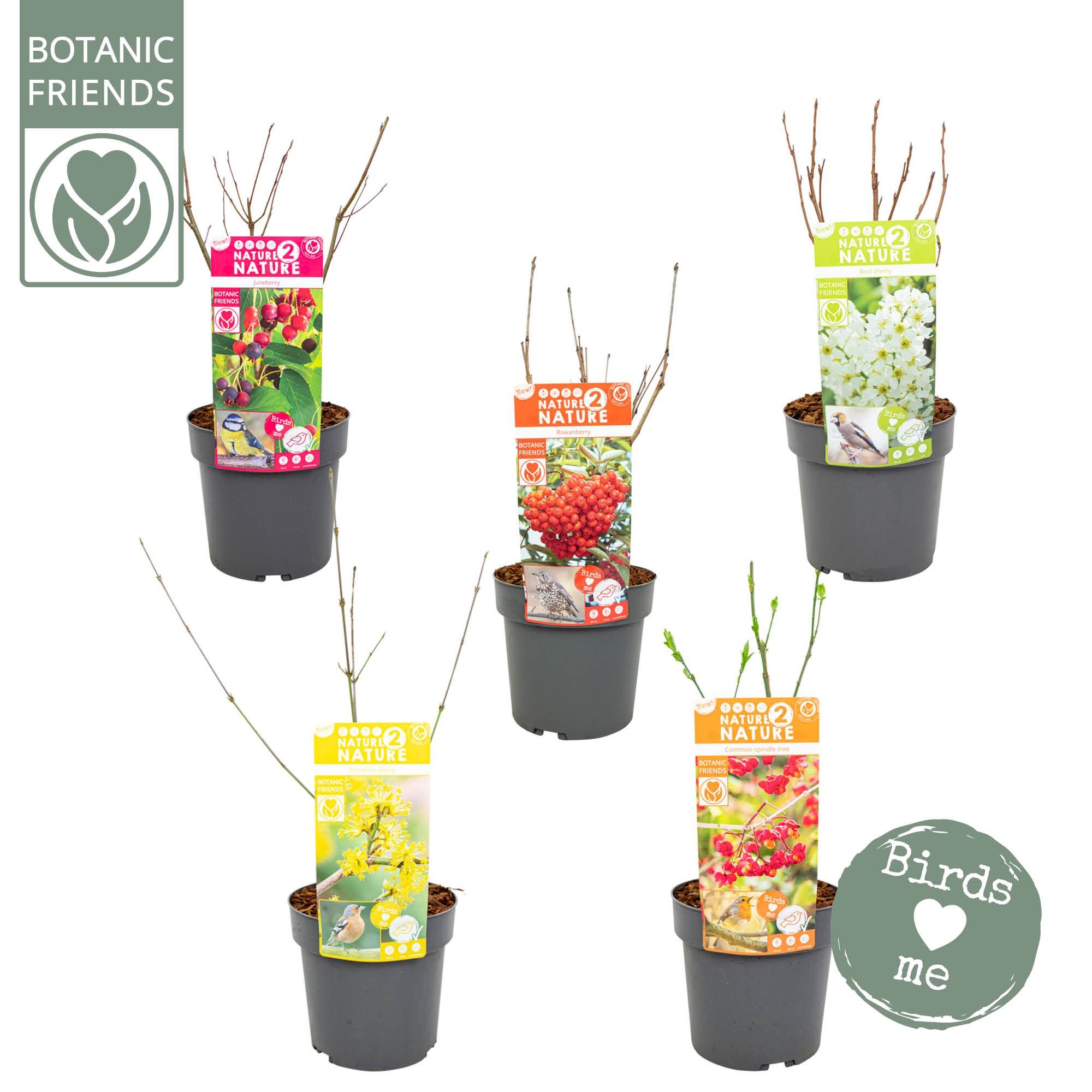 NATURE 2 NATURE - Bird Mix, D 19