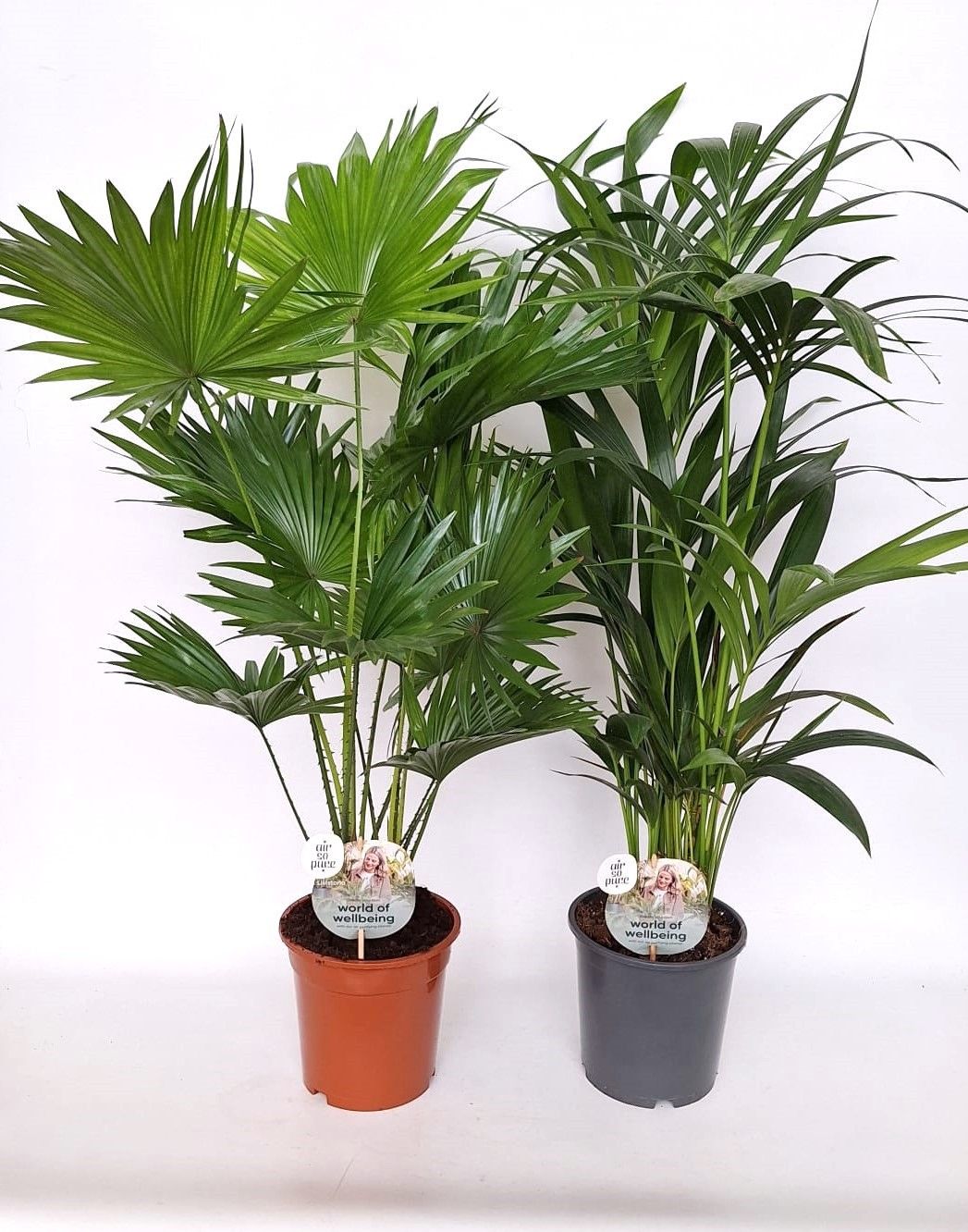 Luxe palmmix 19 cm livi /kent, D 19 cm